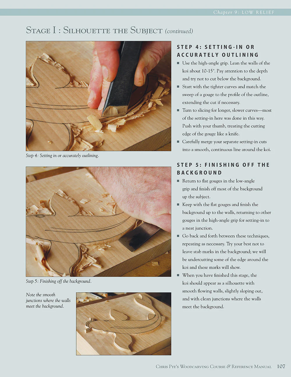Chris Pye's Woodcarving Course & Reference Manual - Image 15