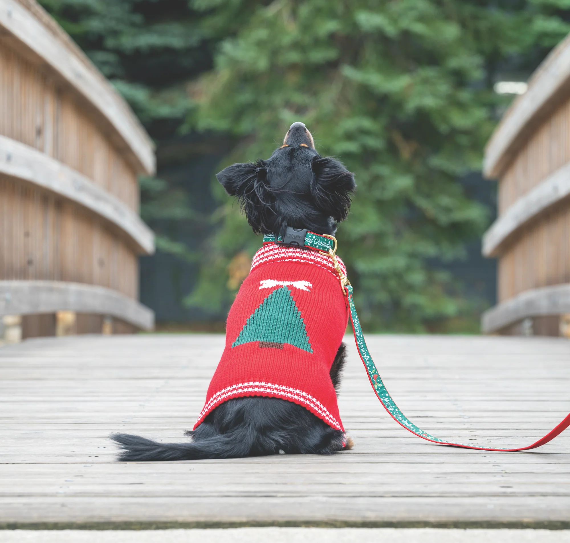 Up Country Christmas Tree Sweater Pet Accessory - Image 2