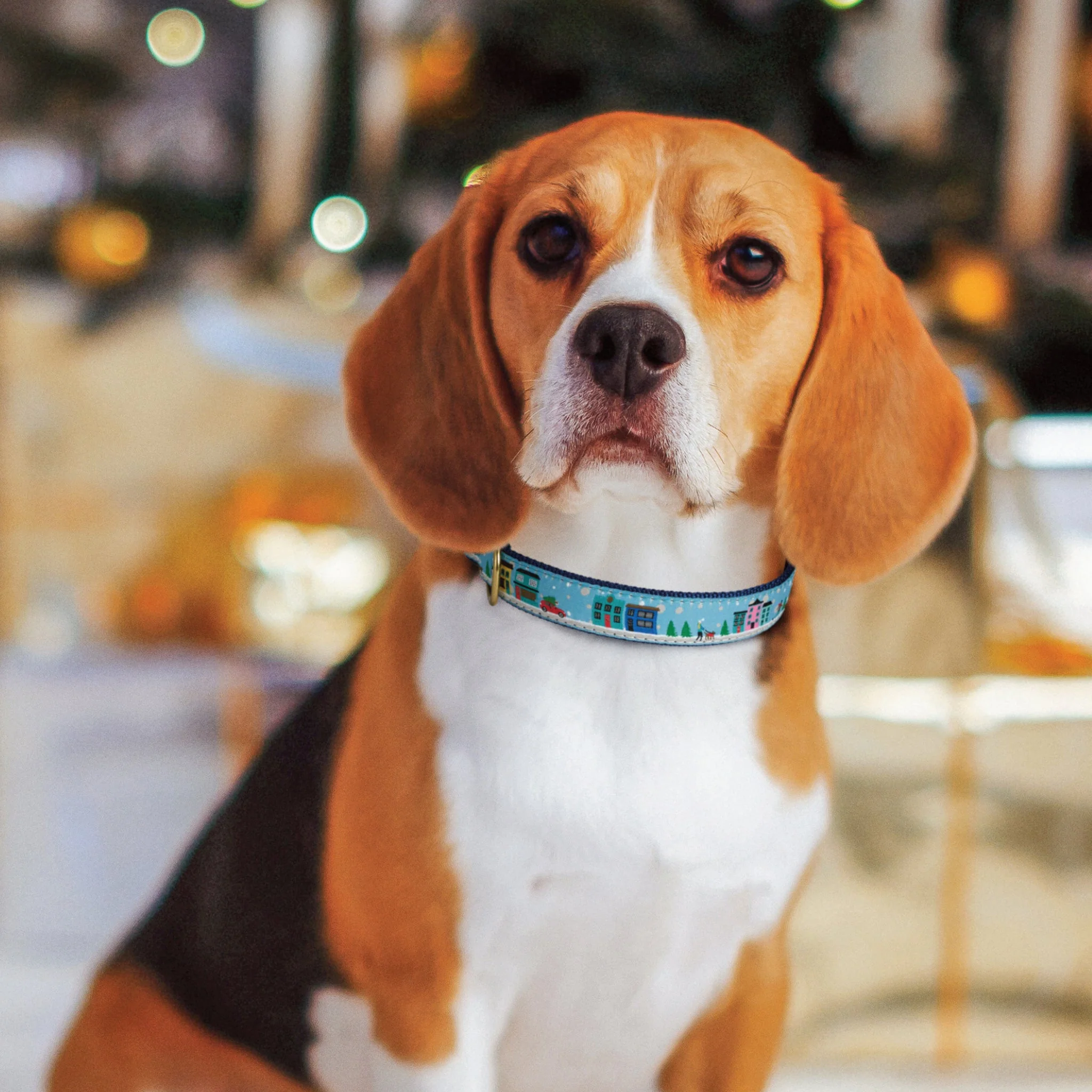 Up Country City Christmas Cast Brass Dog Collar - Image 2