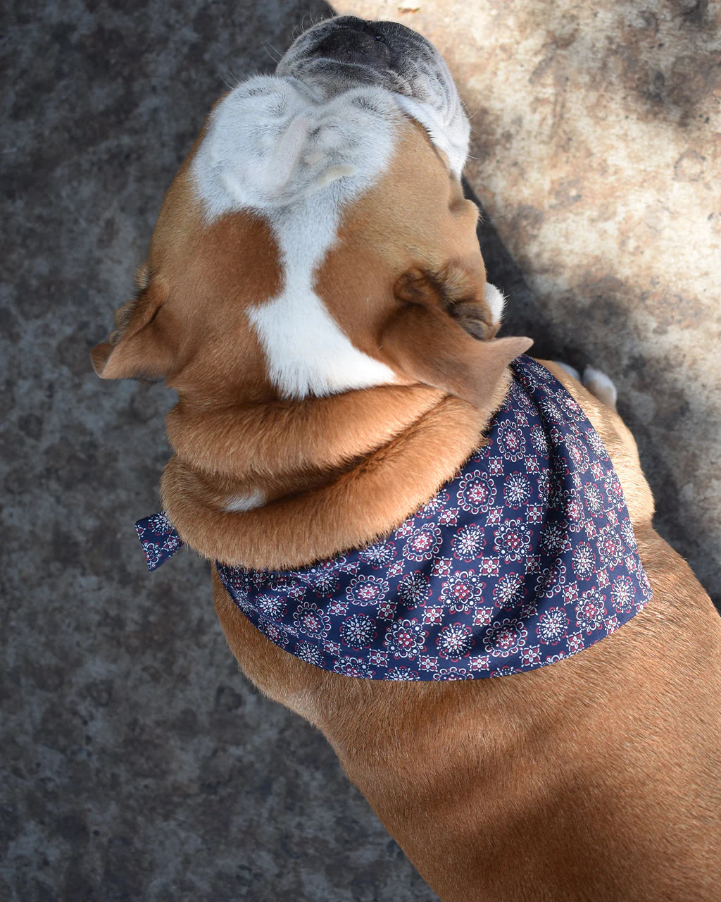 CLASSIC BANDANA - Image 4