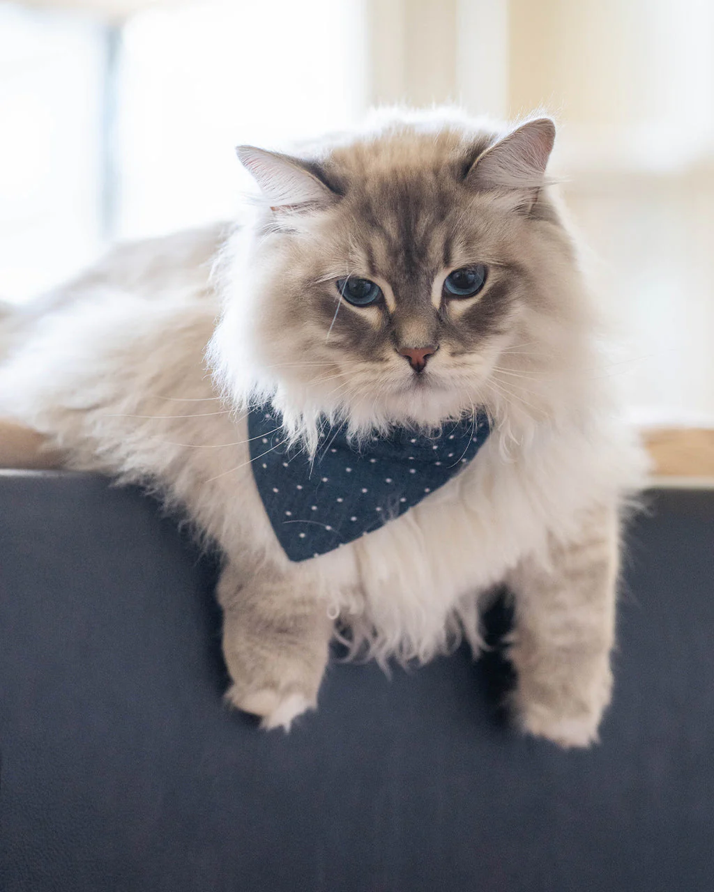 CLASSIC BANDANA - Image 8