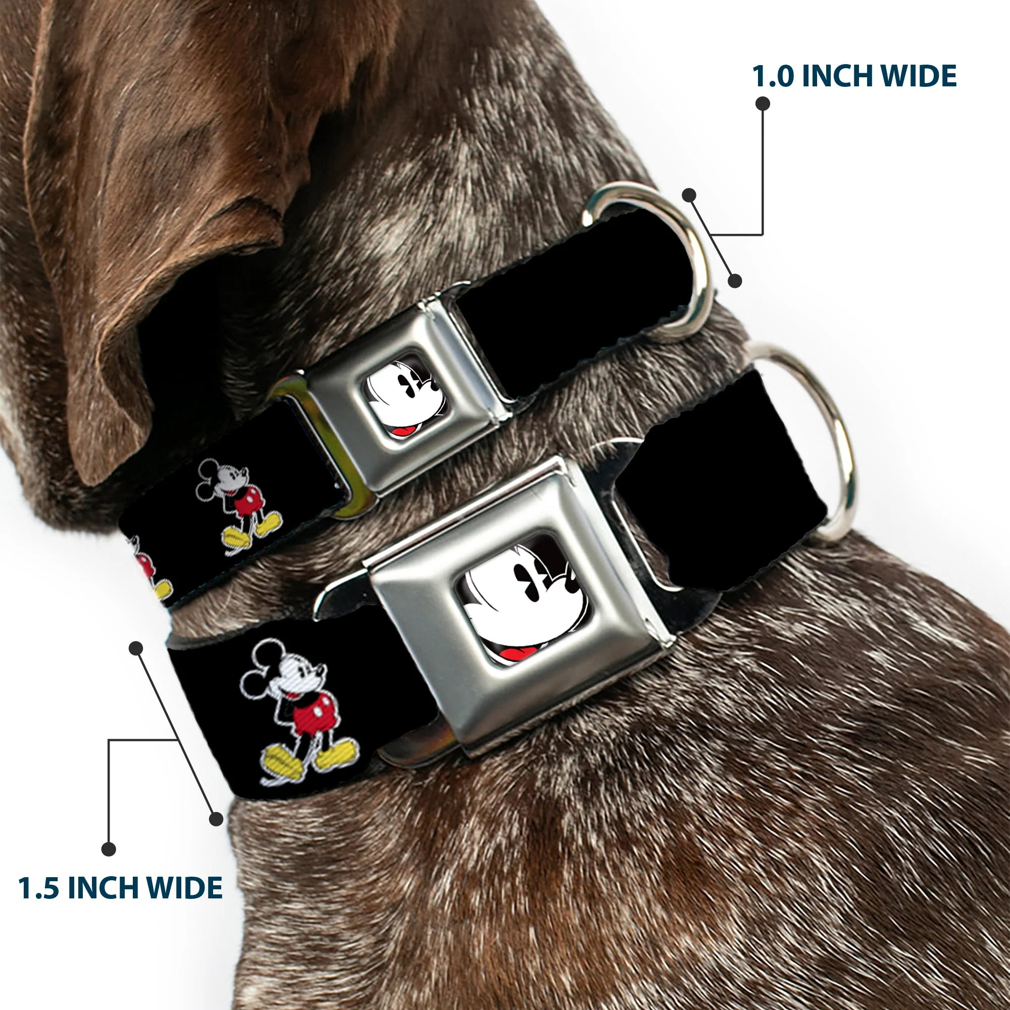 Classic Mickey Mouse Face CLOSE-UP Full Color Seatbelt Buckle Collar - Classic Mickey Mouse Pose Black - Image 2