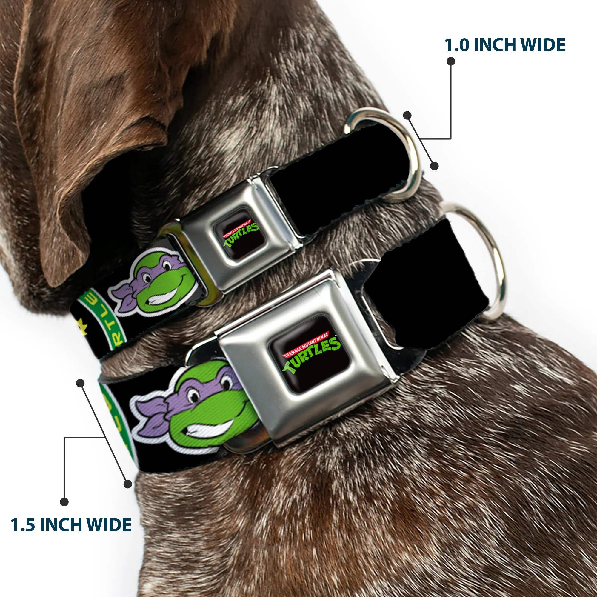 Classic TEENAGE MUTANT NINJA TURTLES Logo Seatbelt Buckle Collar - Classic Teenage Mutant Ninja Turtles Group Faces/TMNT/Ninja Star Black/Green - Image 2