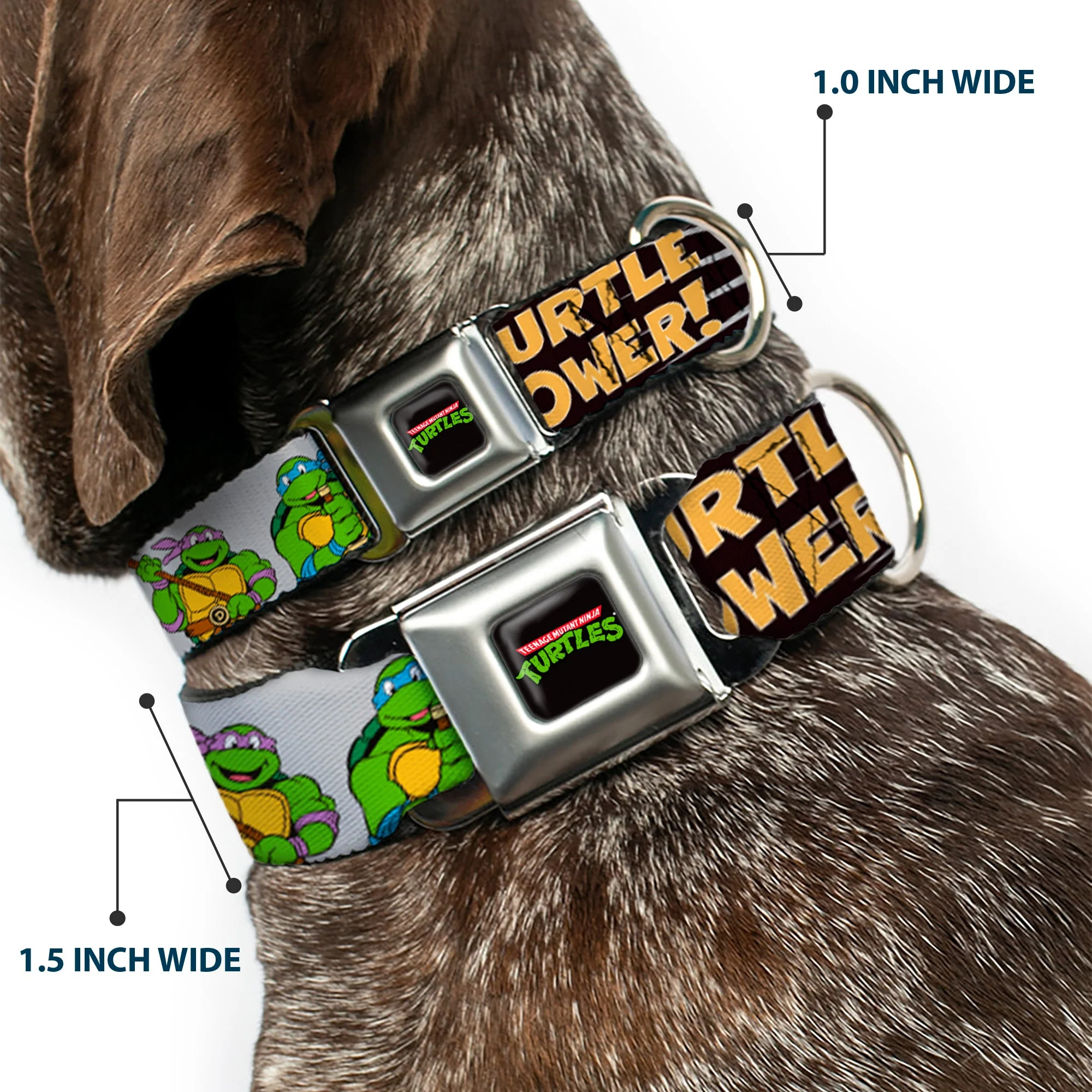 Classic TEENAGE MUTANT NINJA TURTLES Logo Seatbelt Buckle Collar - Classic Teenage Mutant Ninja Turtles Group Pose/TURTLE POWER! - Image 2