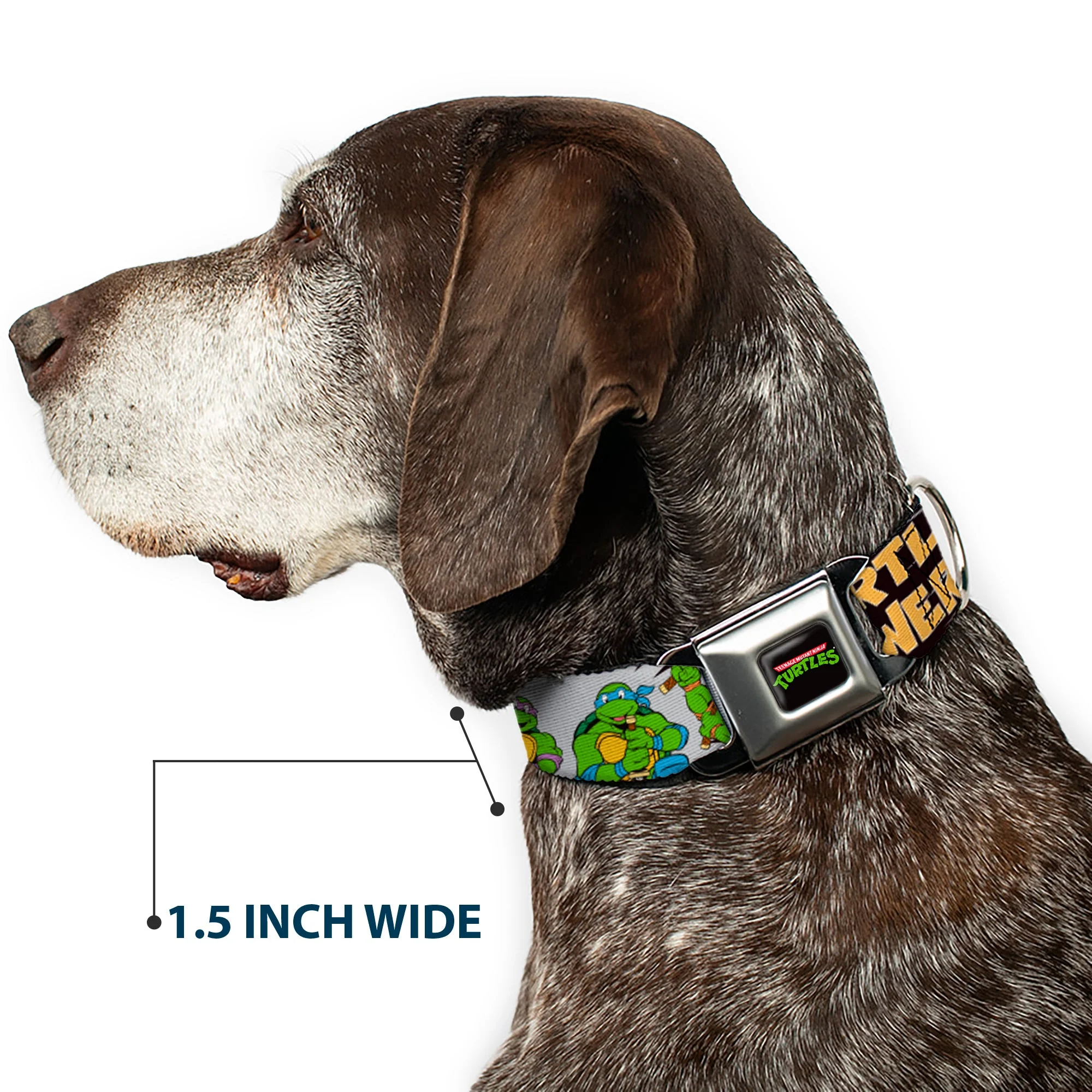 Classic TEENAGE MUTANT NINJA TURTLES Logo Seatbelt Buckle Collar - Classic Teenage Mutant Ninja Turtles Group Pose/TURTLE POWER! - Image 7