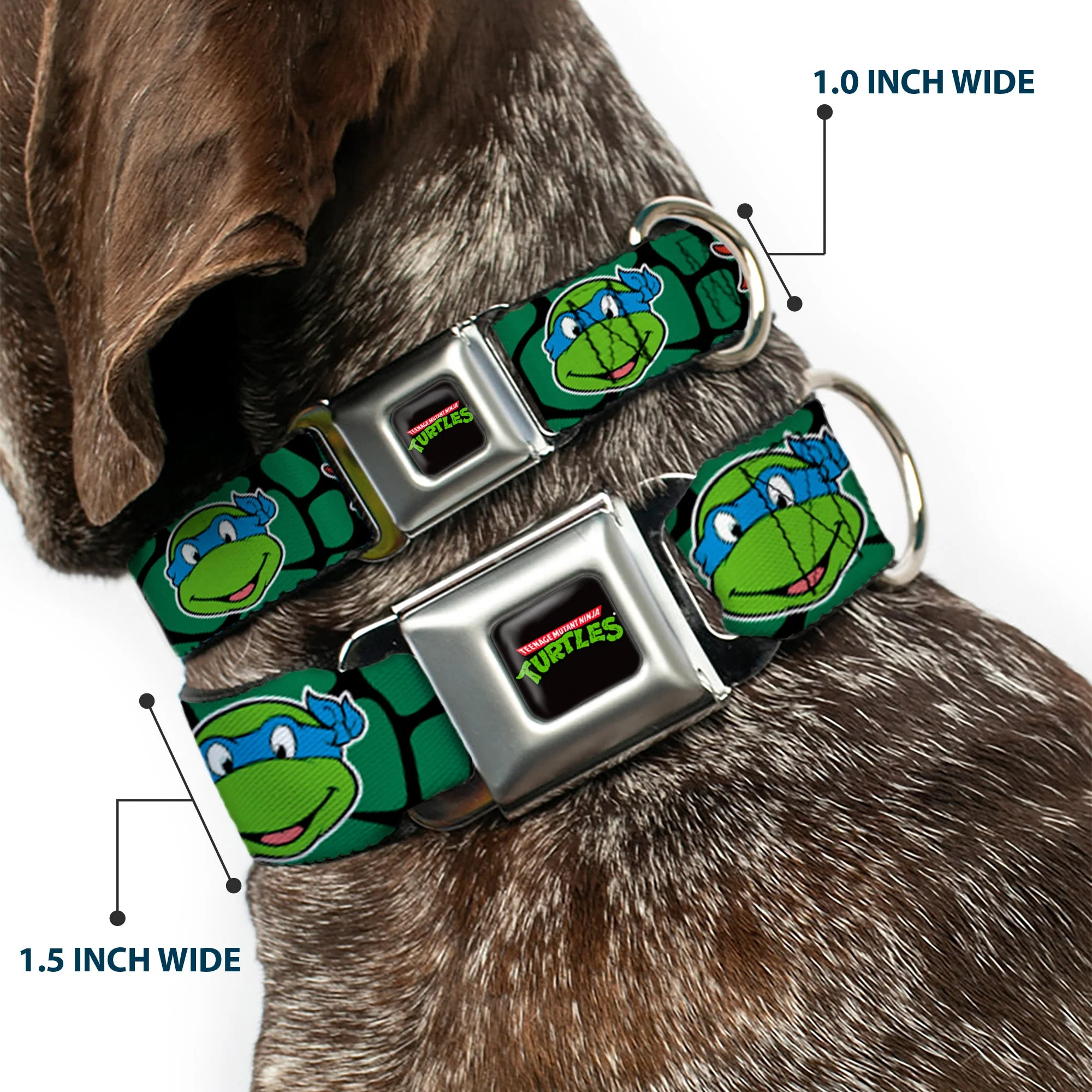 Classic TEENAGE MUTANT NINJA TURTLES Logo Seatbelt Buckle Collar - Classic TEENAGE MUTANT NINJA TURTLES Turtle Faces Black/Green Turtle Shell - Image 2