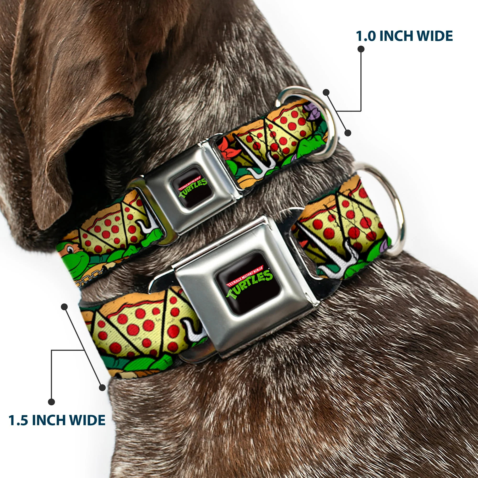 Classic TEENAGE MUTANT NINJA TURTLES Logo Seatbelt Buckle Collar - Classic Teenage Mutant Ninja Turtles Turtle Poses/Pizza Slices - Image 2