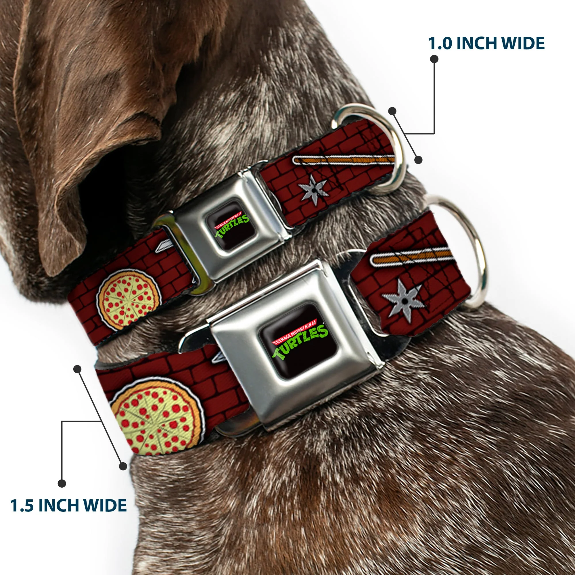 Classic TEENAGE MUTANT NINJA TURTLES Logo Seatbelt Buckle Collar - Classic TMNT Gear/Elements Brick Wall - Image 2