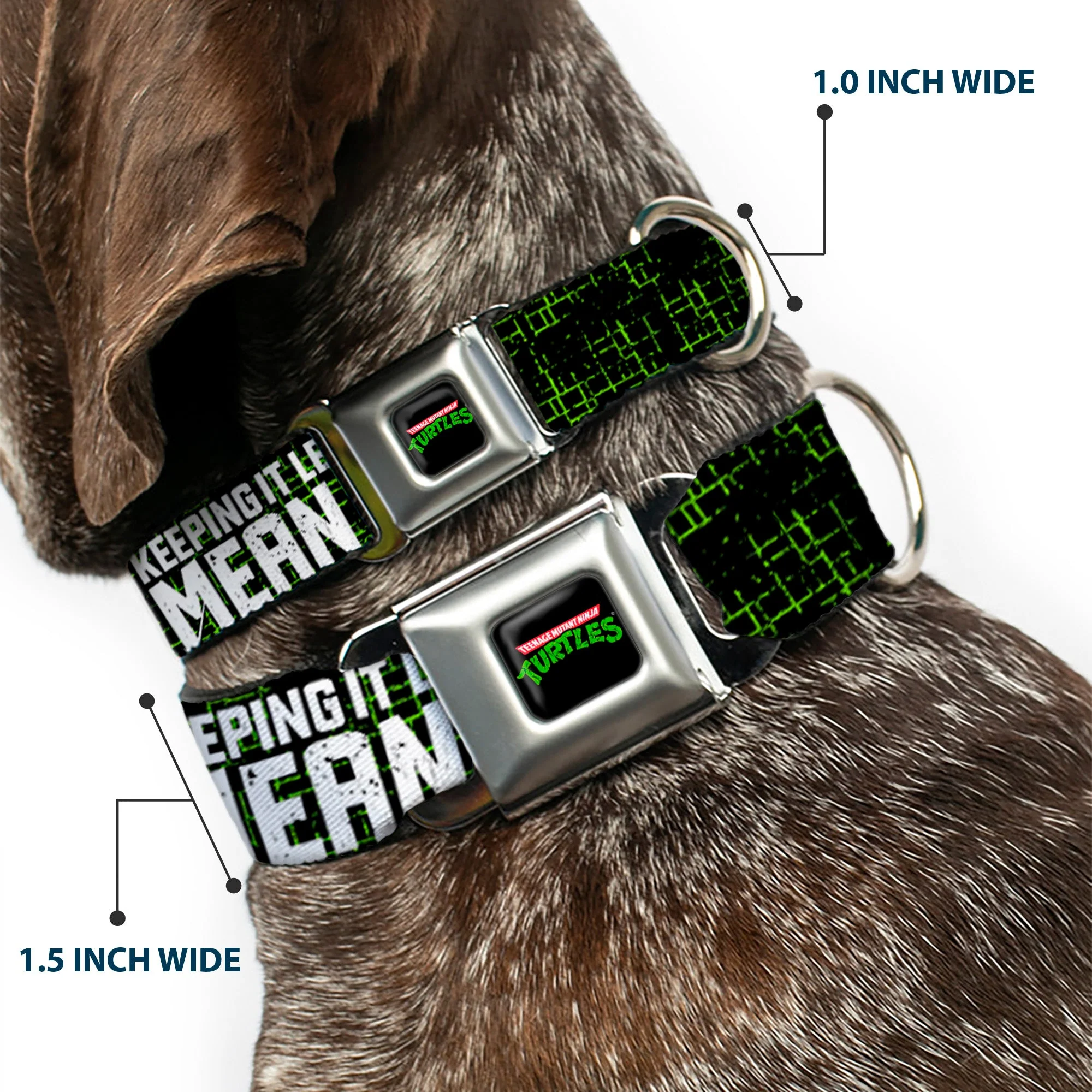 Classic TEENAGE MUTANT NINJA TURTLES Logo Seatbelt Buckle Collar - Classic TMNT Group Pose6/KEEPING IT LEAN, MEAN & GREEN Black/Green/White - Image 2