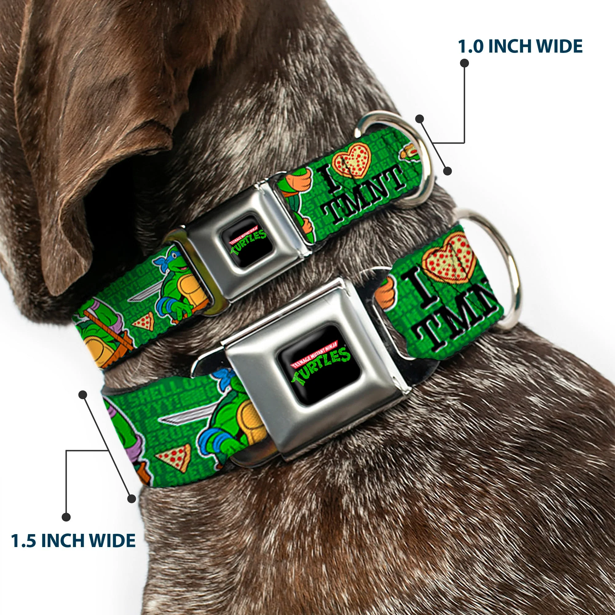 Classic TEENAGE MUTANT NINJA TURTLES Logo Seatbelt Buckle Collar - I "HEART" TMNT/Classic Turtles & Pizza Green - Image 2