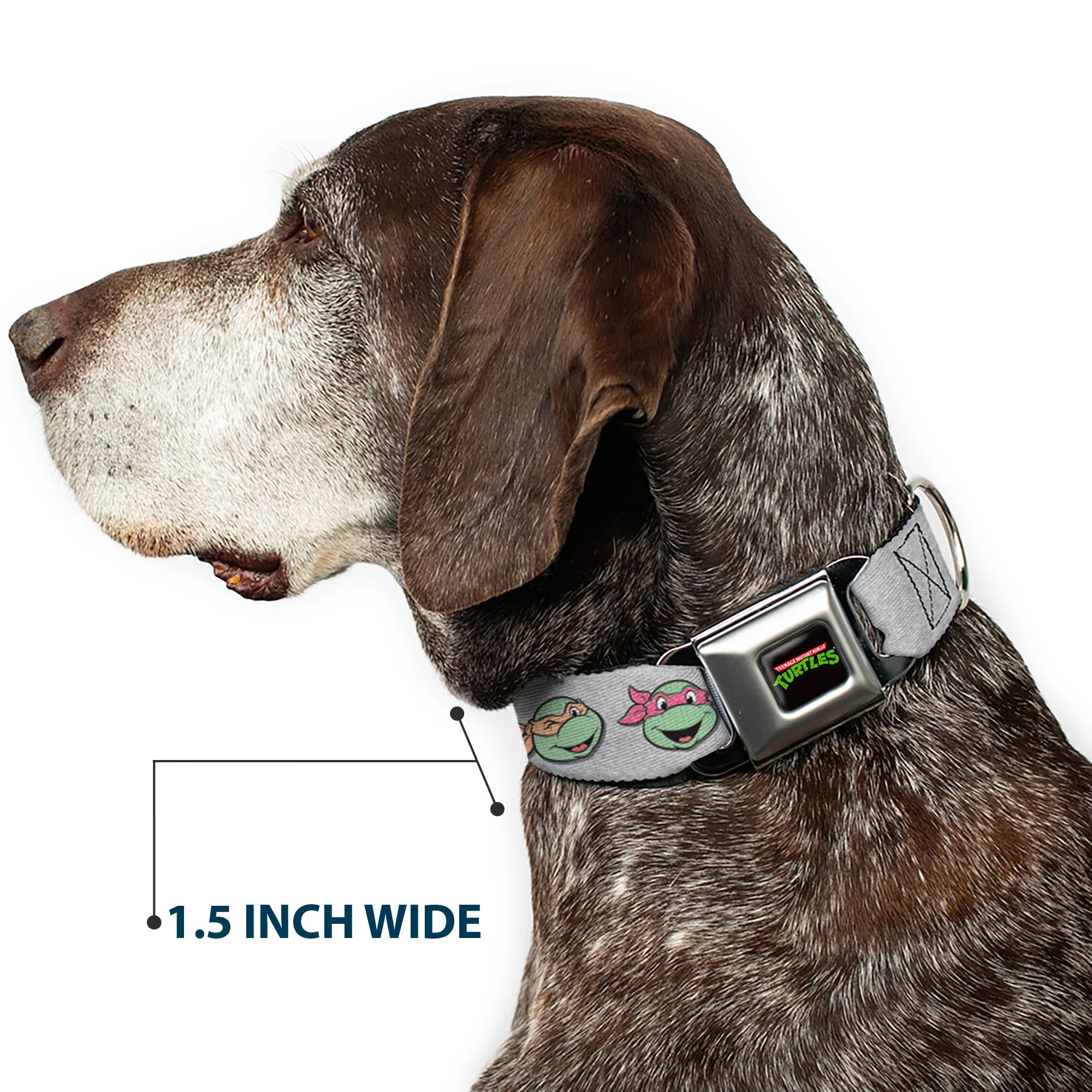 Classic TEENAGE MUTANT NINJA TURTLES Logo Seatbelt Buckle Collar - Teenage Mutant Ninja Turtles Expressions Gray - Image 7