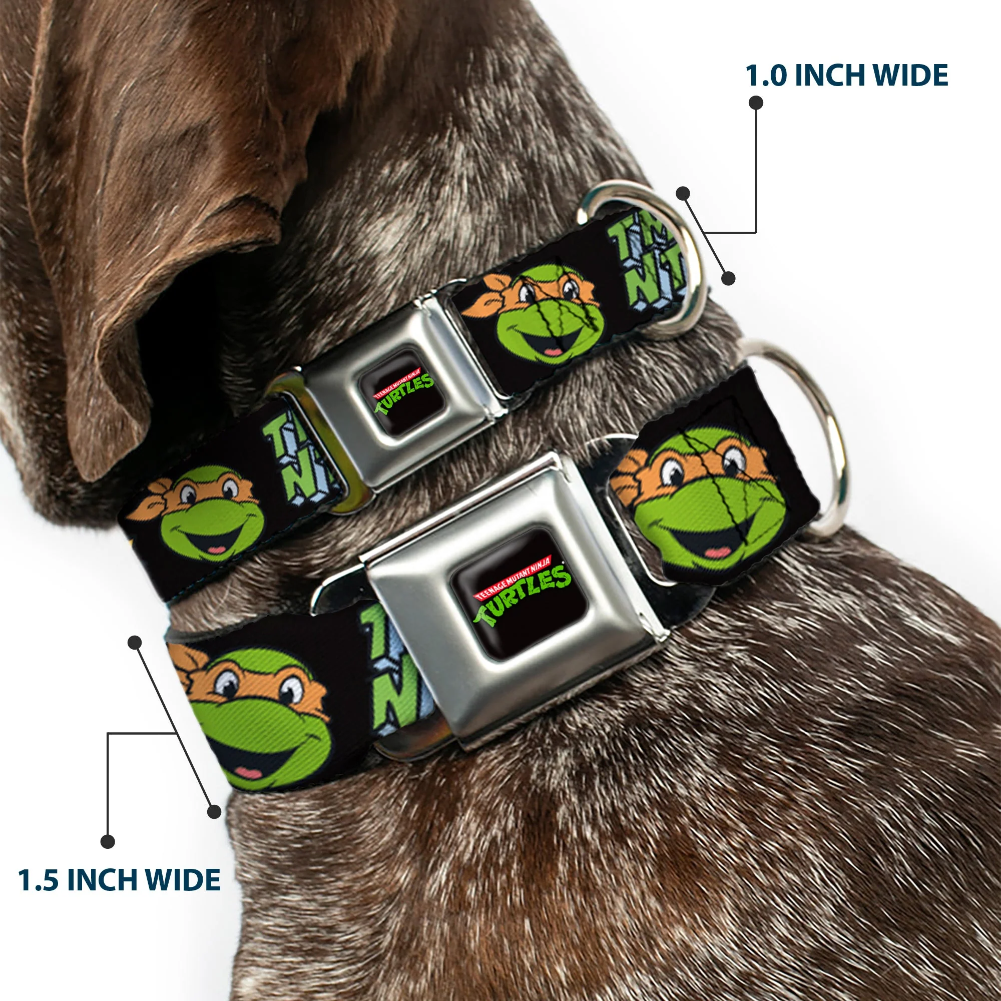 Classic TEENAGE MUTANT NINJA TURTLES Logo Seatbelt Buckle Collar - Teenage Mutant Ninja Turtles Faces and Icons Black/Multi Color - Image 2