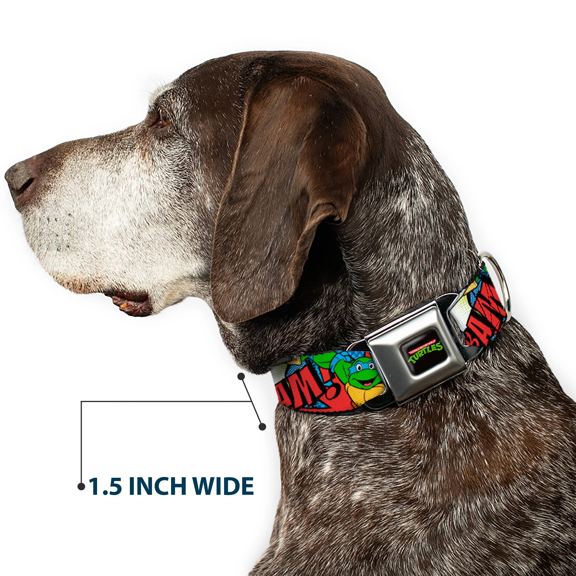 Classic TMNT Logo Full Color Seatbelt Buckle Collar - Classic Teenage Mutant Ninja Turtles Action Poses/Action Bubbles Dots Blues - Image 7
