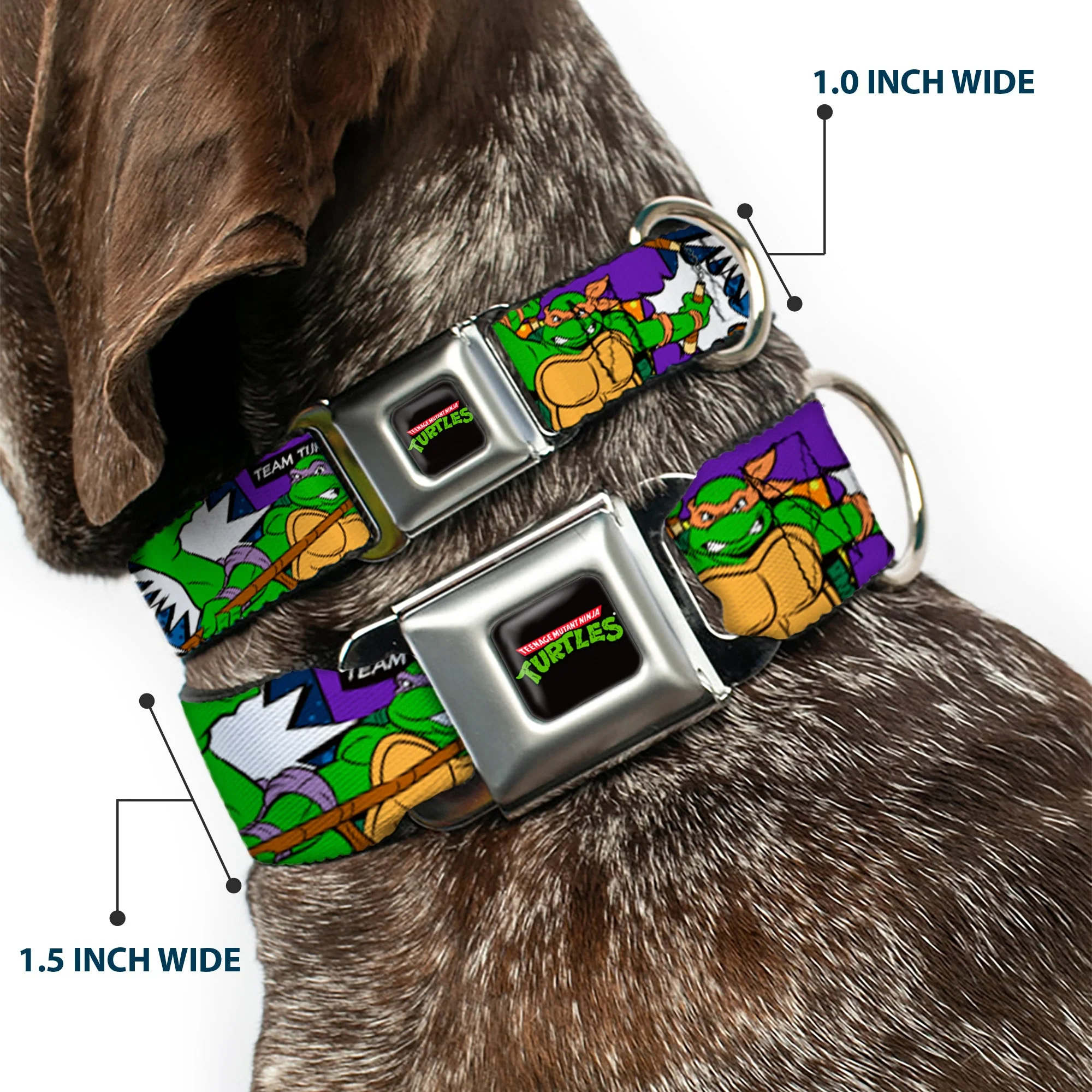 Classic TMNT Logo Seatbelt Buckle Collar - Classic Teenage Mutant Ninja Turtles Action Poses/TEAM TURTLES - Image 2