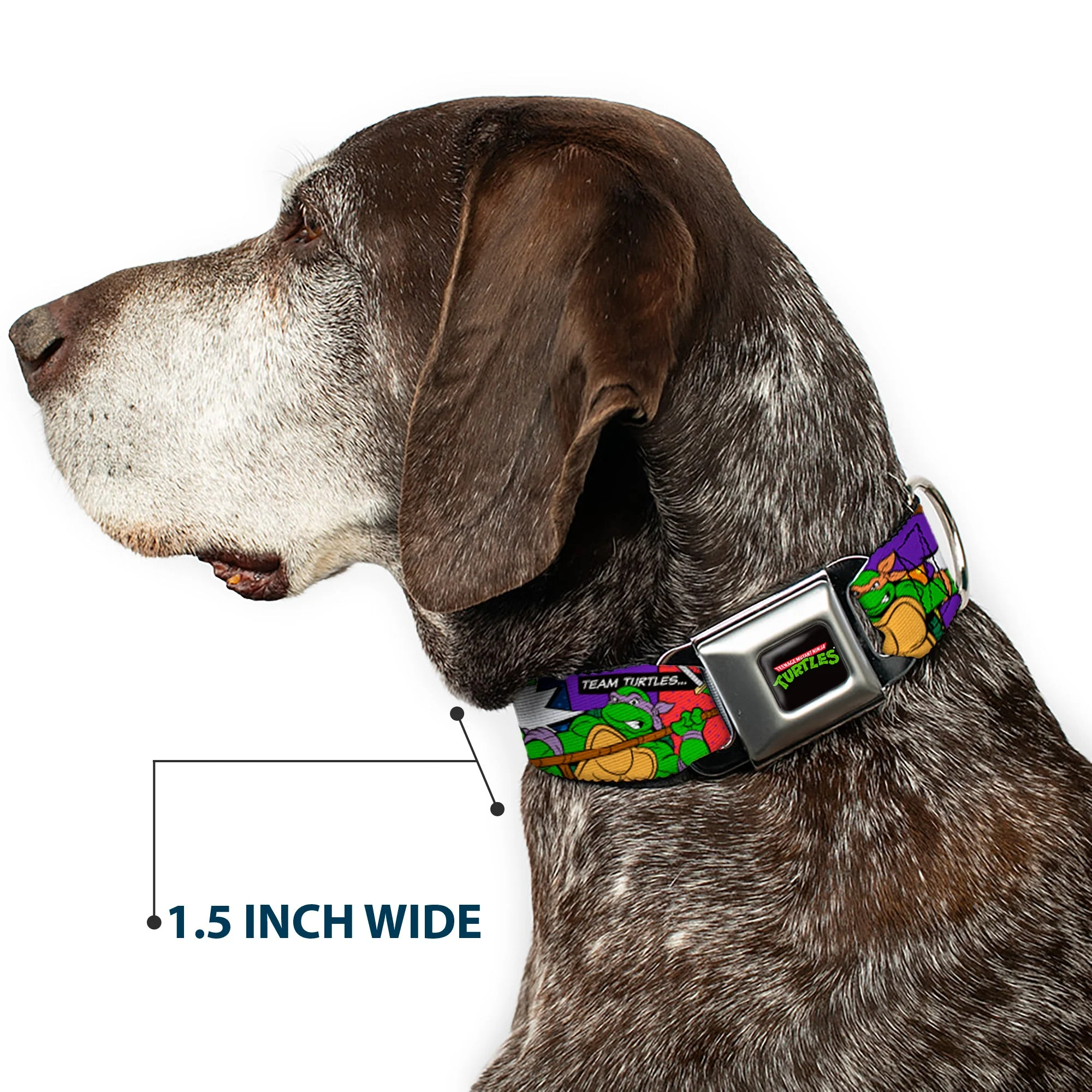 Classic TMNT Logo Seatbelt Buckle Collar - Classic Teenage Mutant Ninja Turtles Action Poses/TEAM TURTLES - Image 7