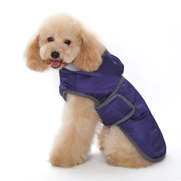 Classic Trench Coat
