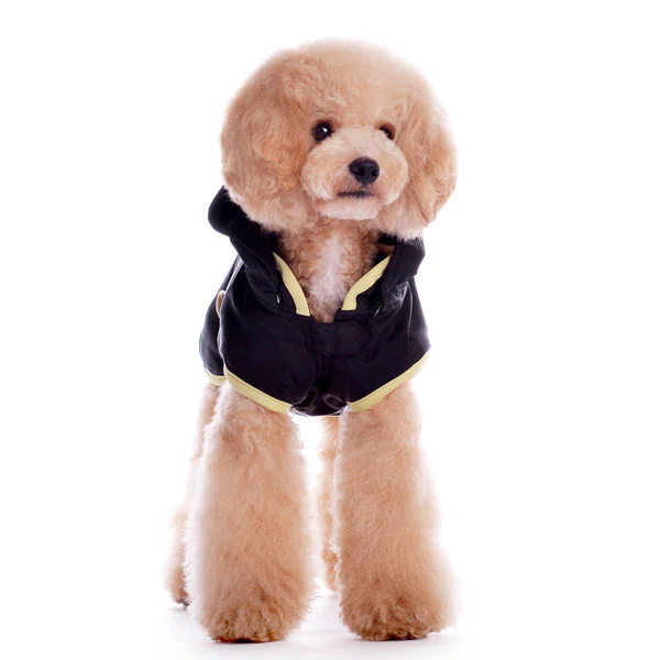 Classic Trench Coat - Image 16