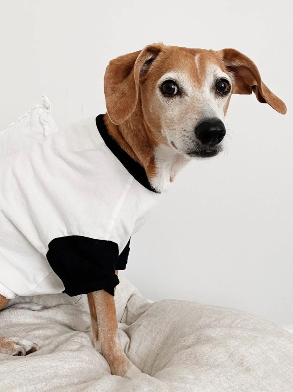 Classique Baseball Tee