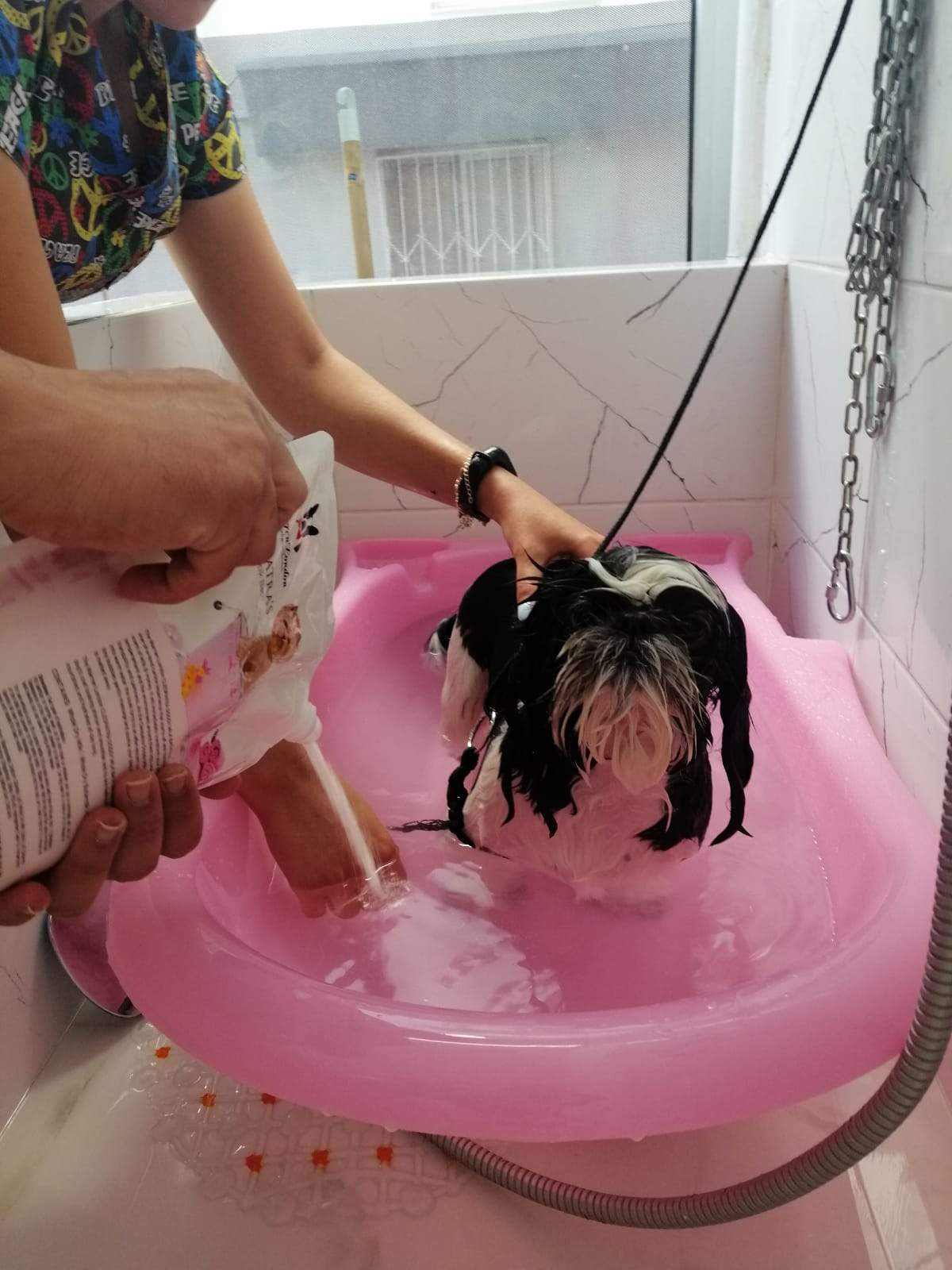 Cleopatras Doggy Milk Bath - Image 7