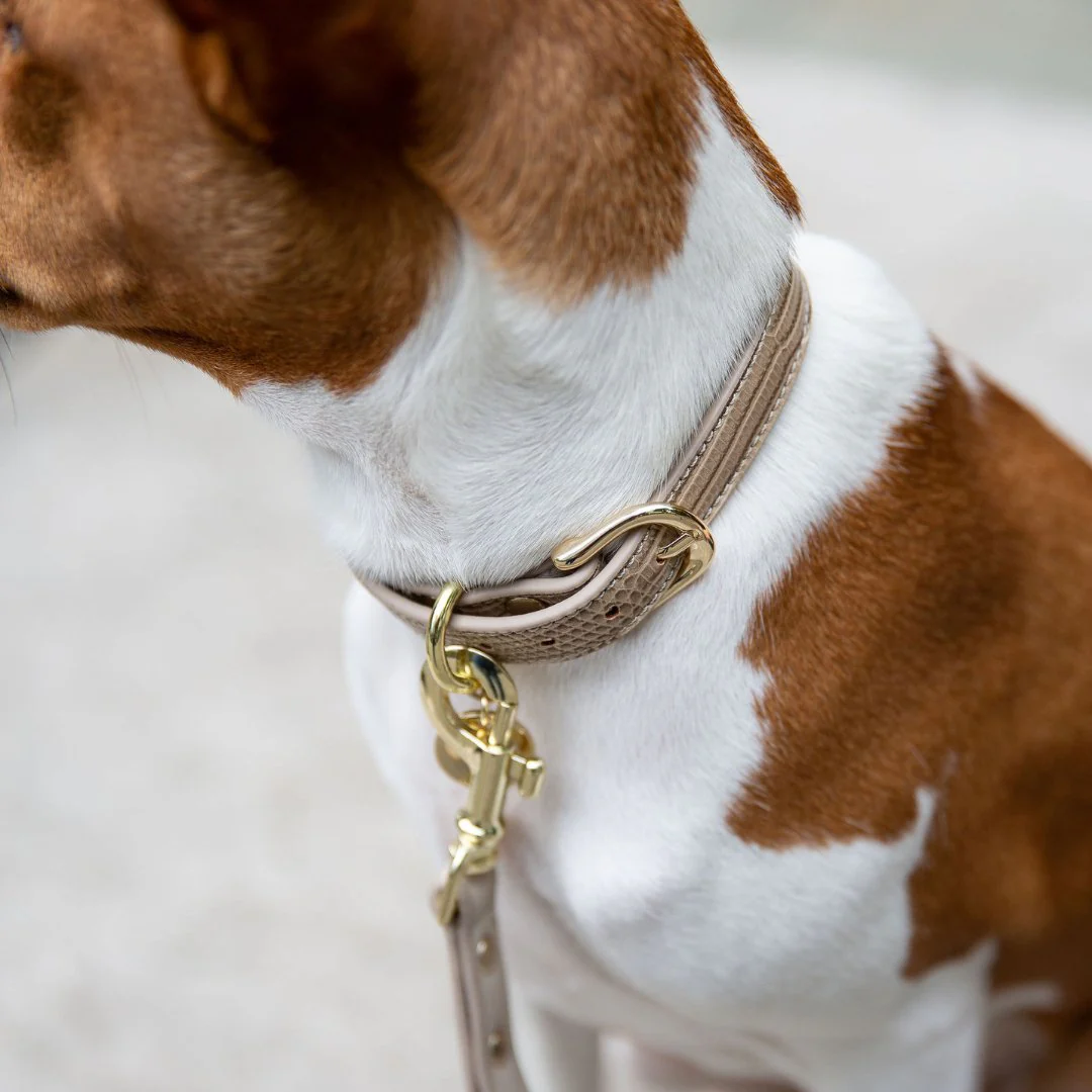 Collar - Vegan Leather - Image 10
