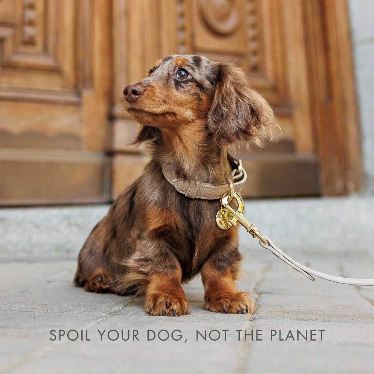Collar - Vegan Leather - Image 37