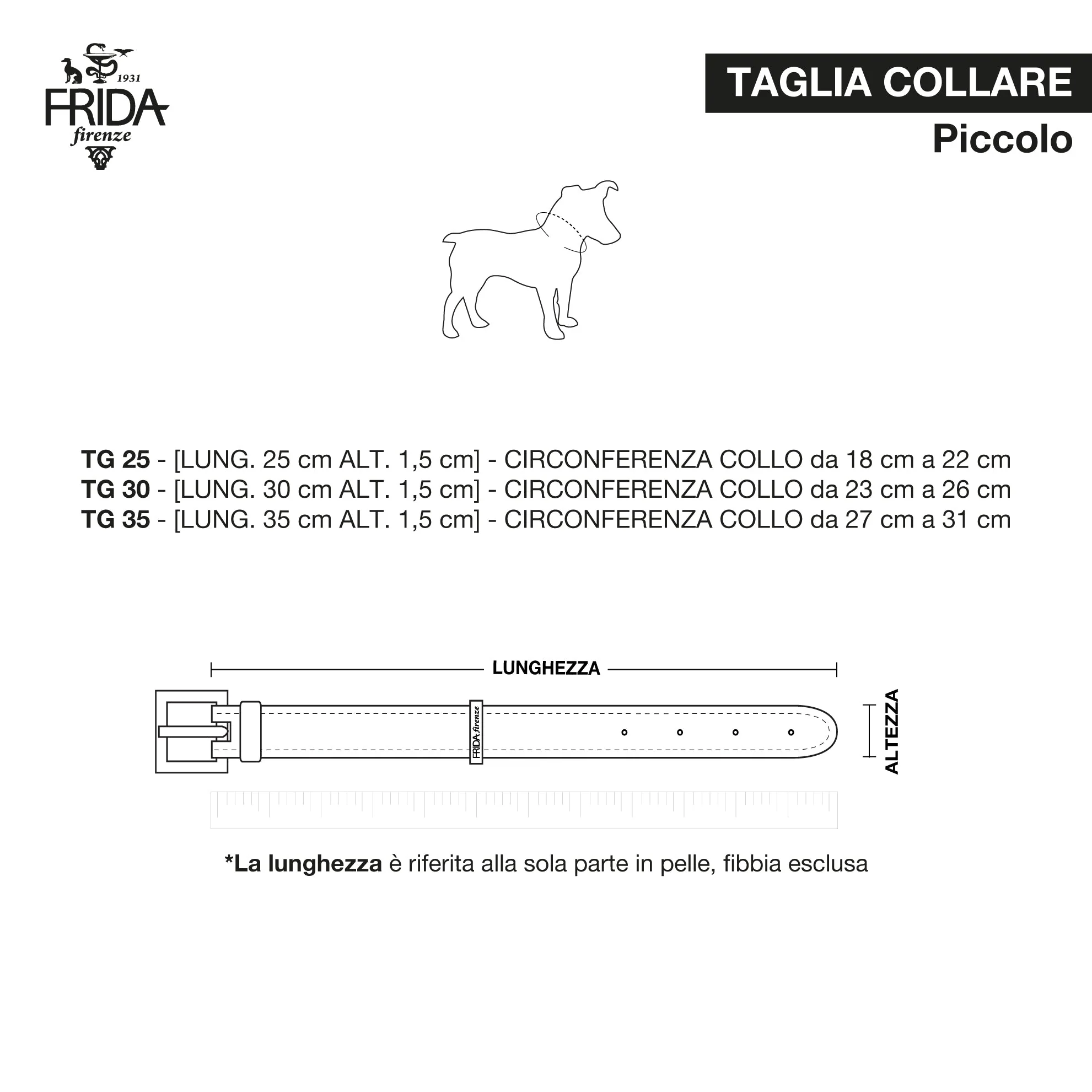 Leather Dog Collar in Black - Stud Star, Made in Italy - Image 4