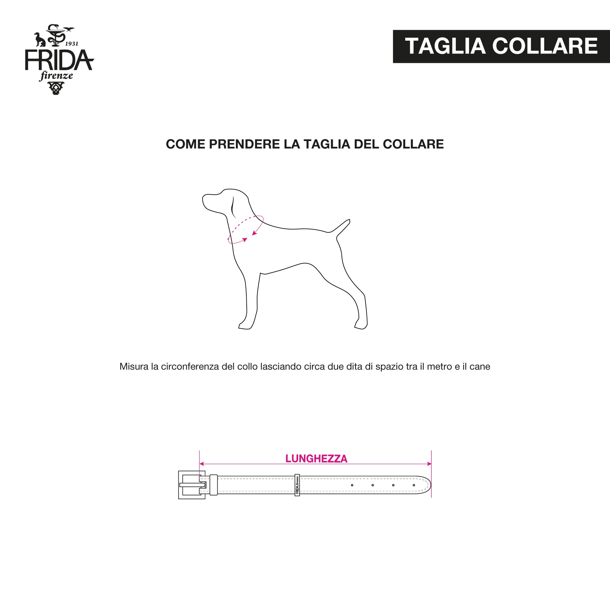 Leather Dog Collar in Black - Stud Star, Made in Italy - Image 6