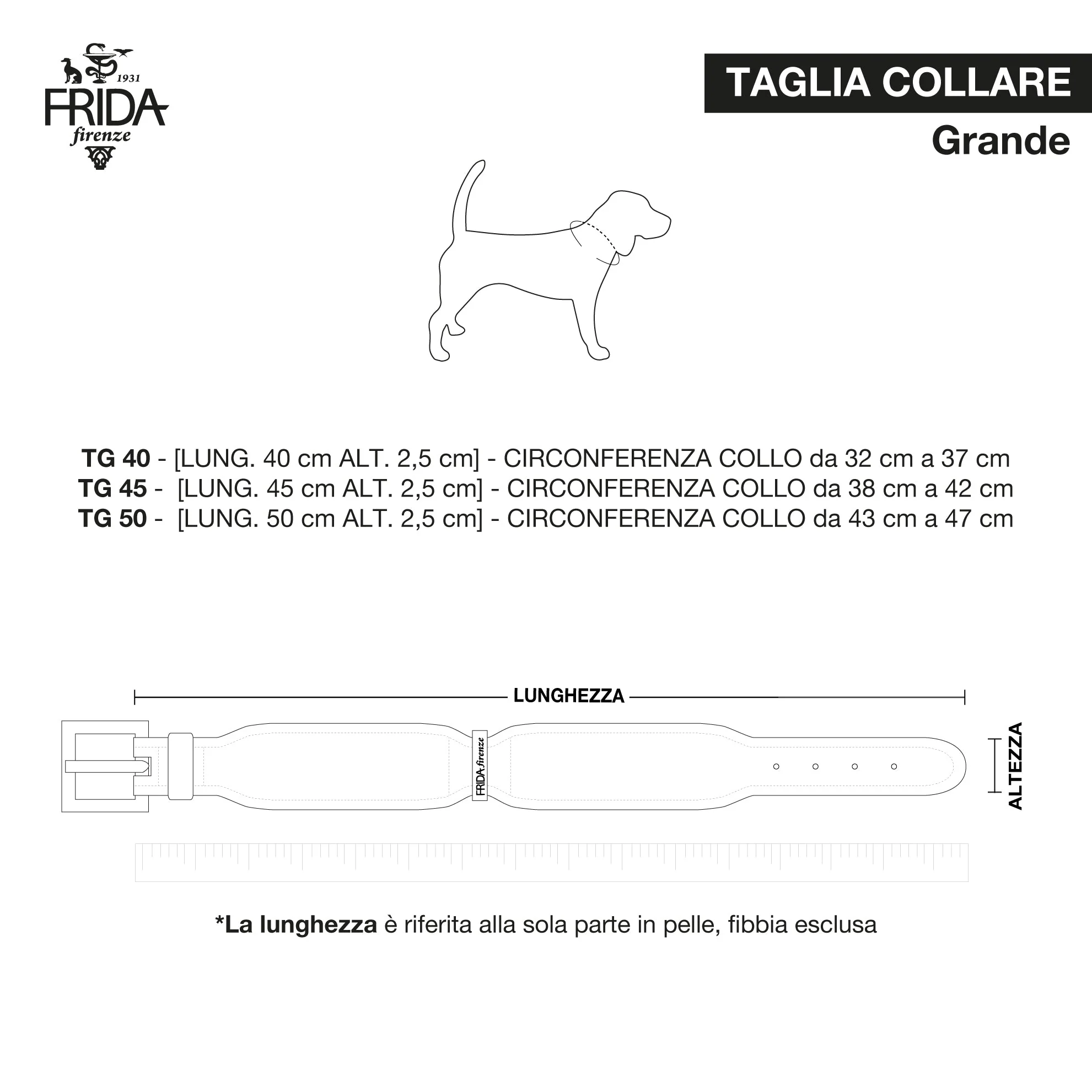 Leather Dog Collar in Cloud - Stud Star, Made in Italy - Image 5