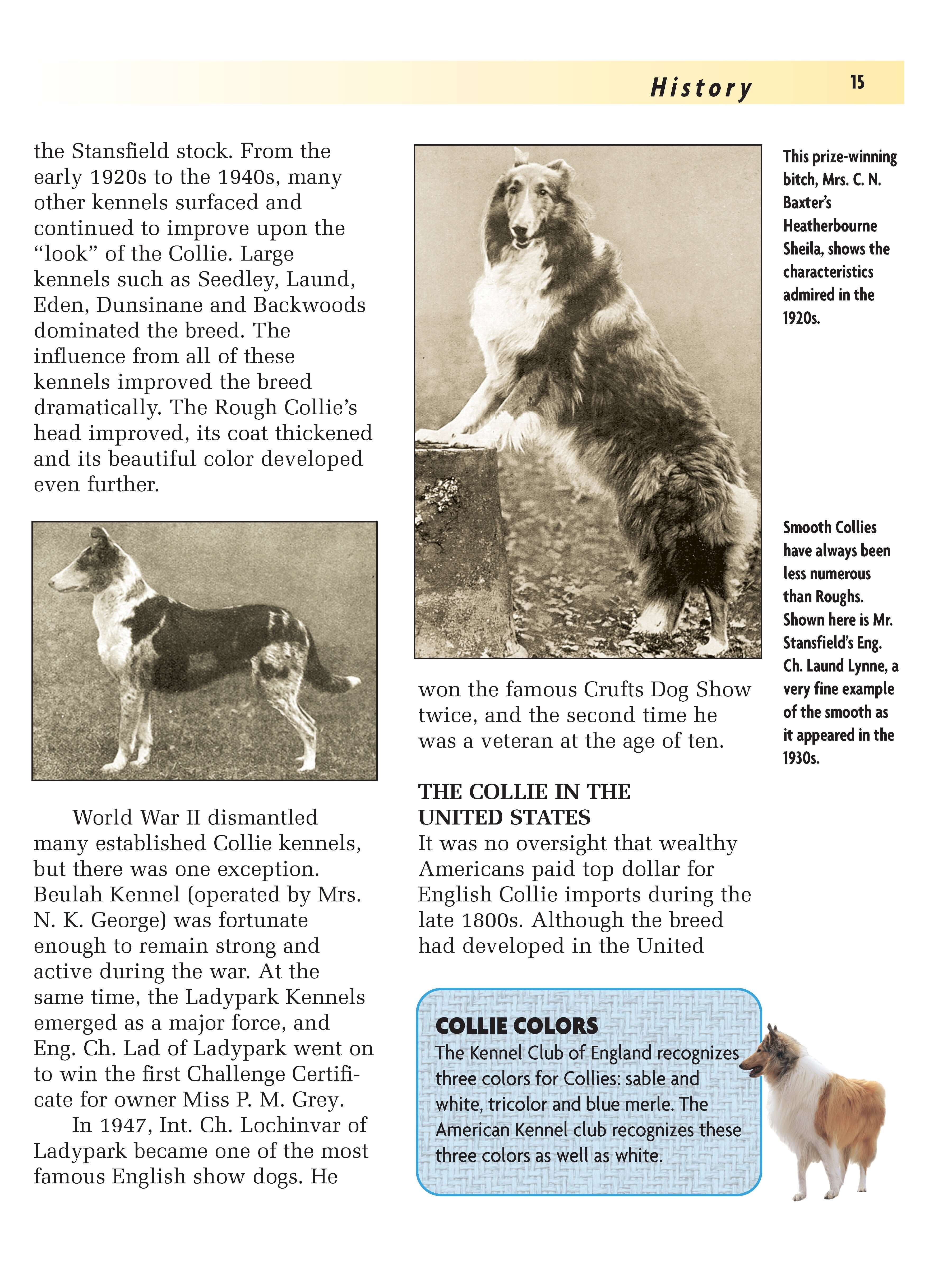 Collie (Comprehensive Owner's Guide) - Image 3