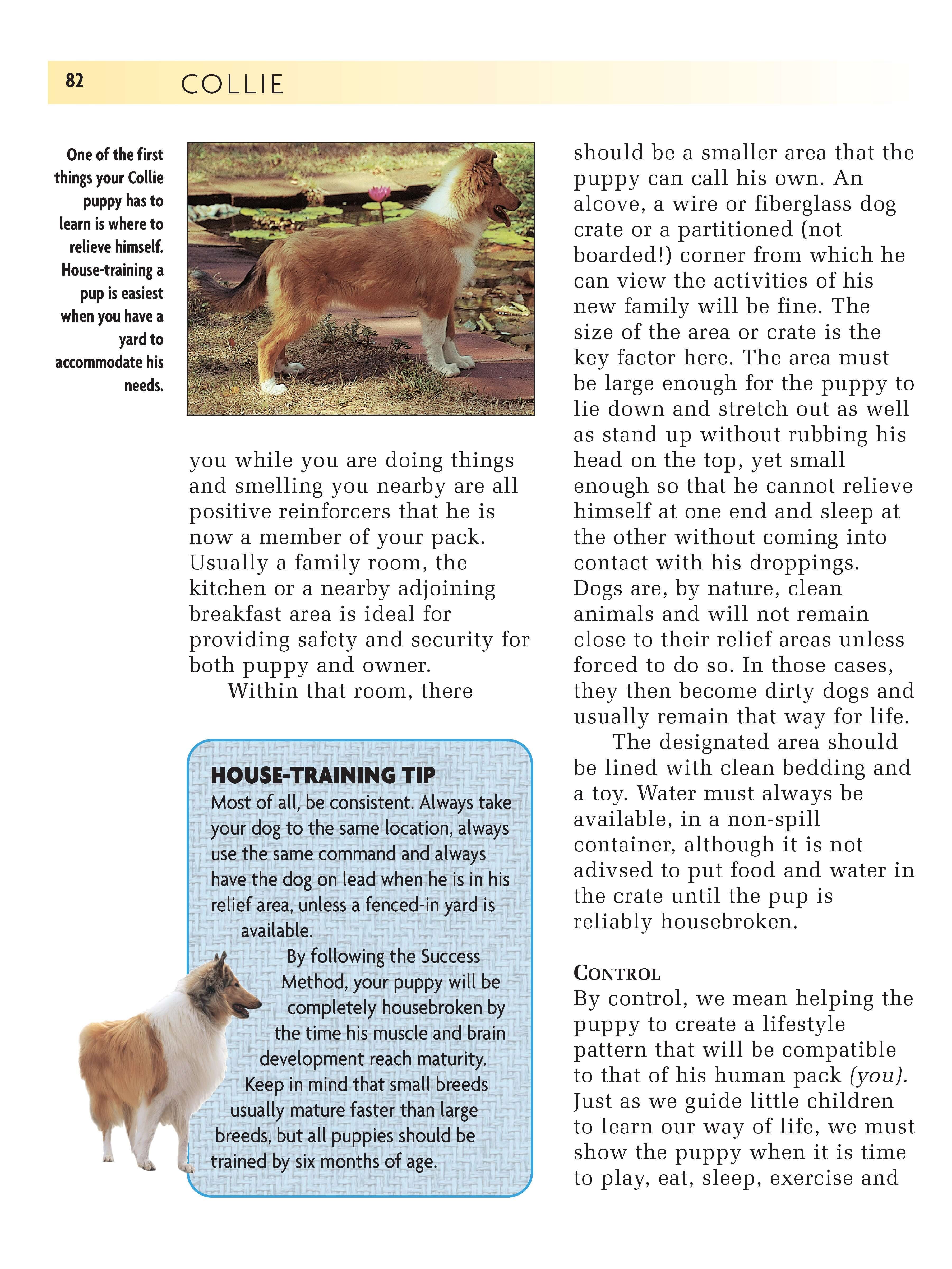 Collie (Comprehensive Owner's Guide) - Image 4