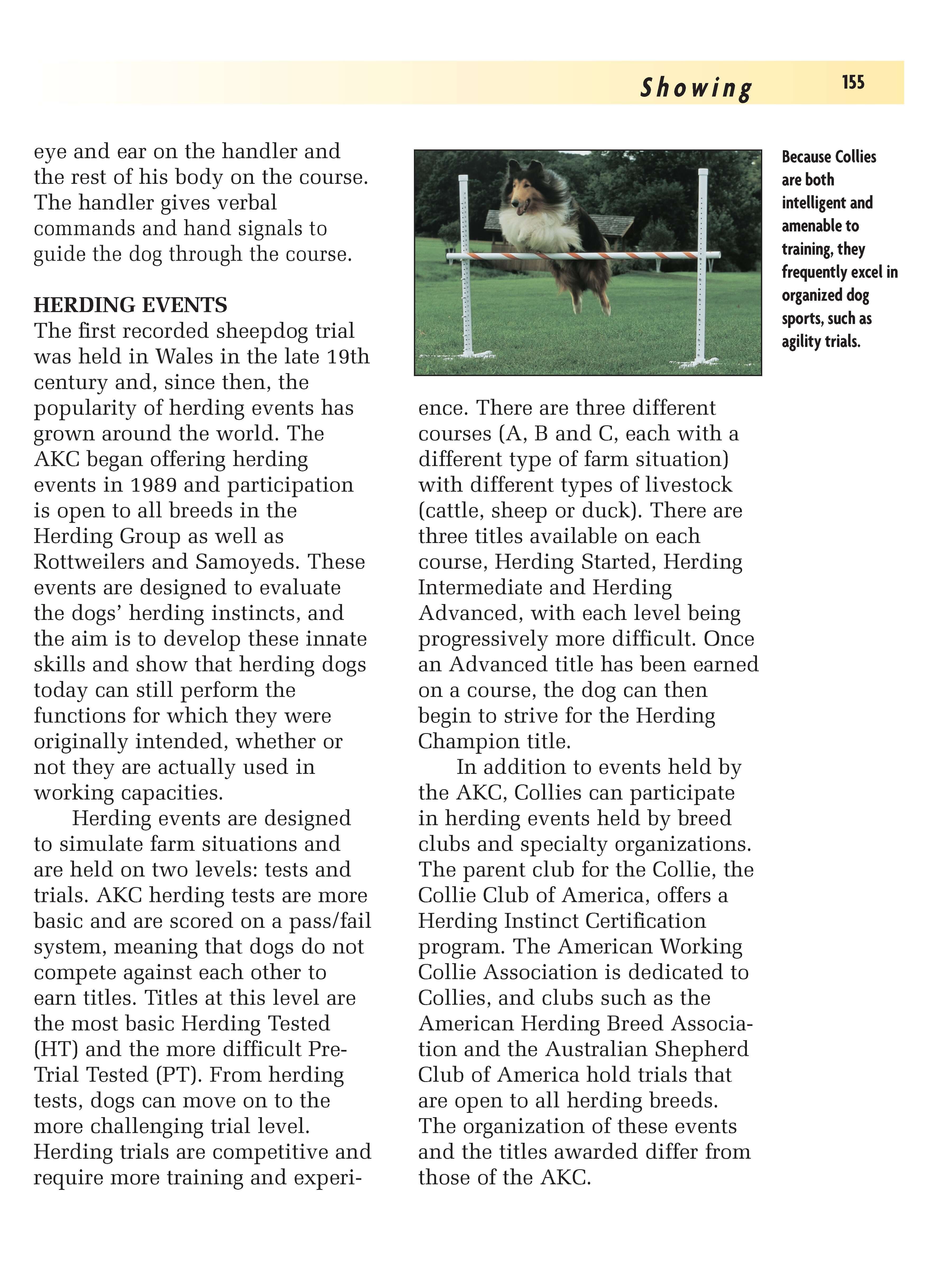 Collie (Comprehensive Owner's Guide) - Image 5