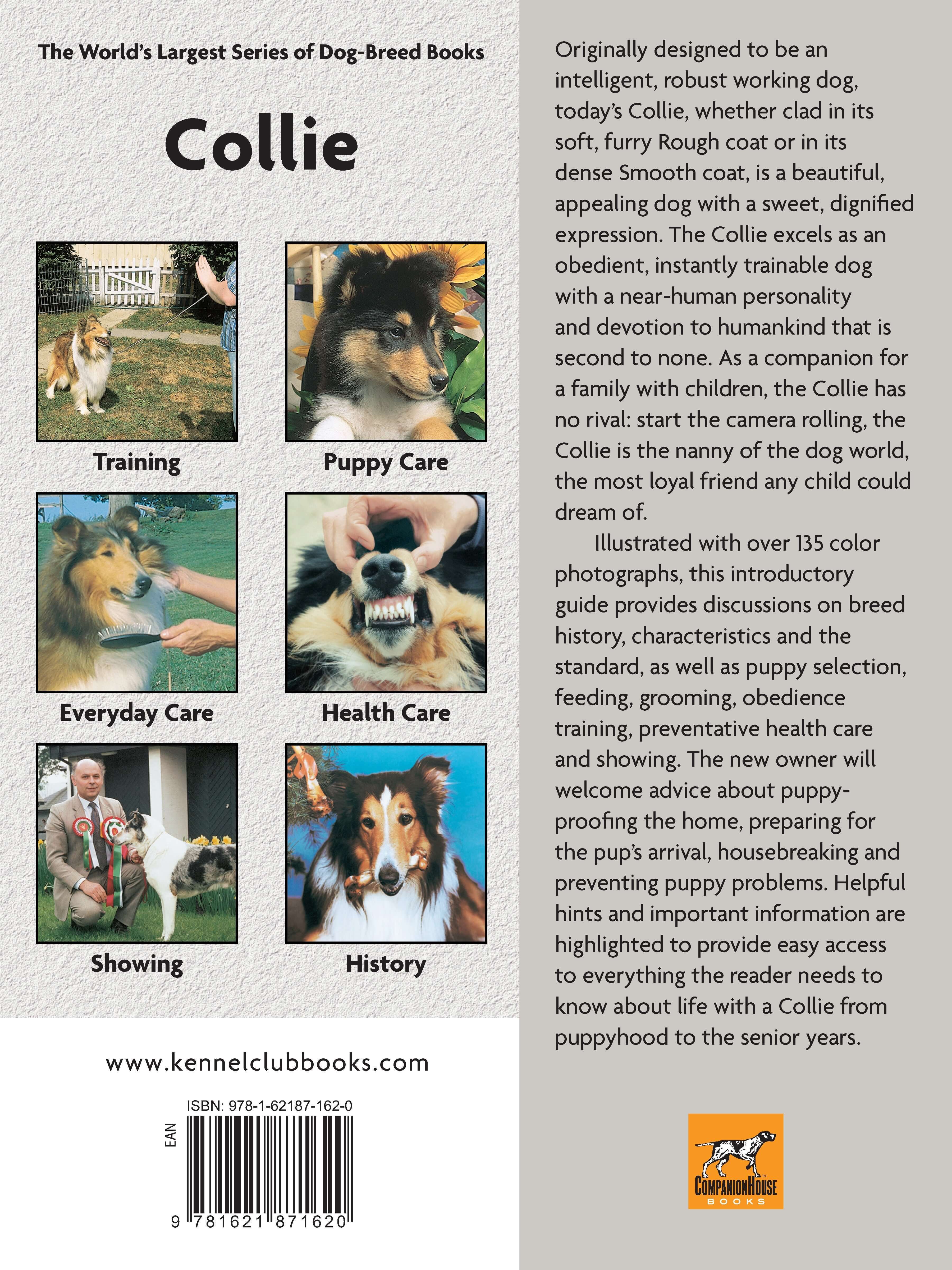 Collie (Comprehensive Owner's Guide) - Image 7