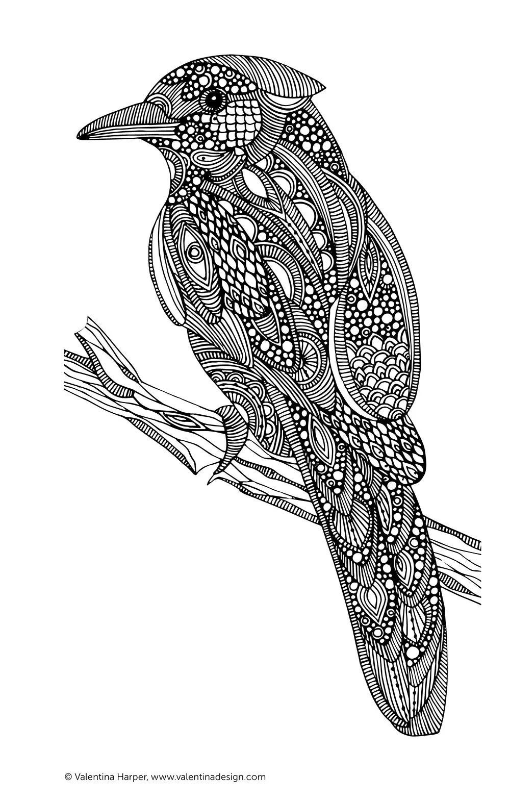 Color Calm Coloring Book - Image 3