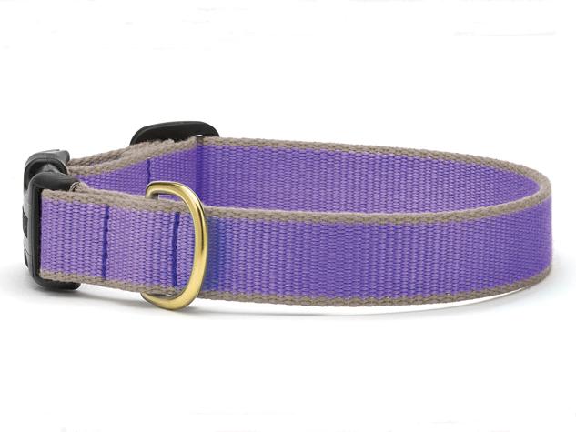 Up Country Color Market - Wide Cast Brass Dog Collar - Image 11