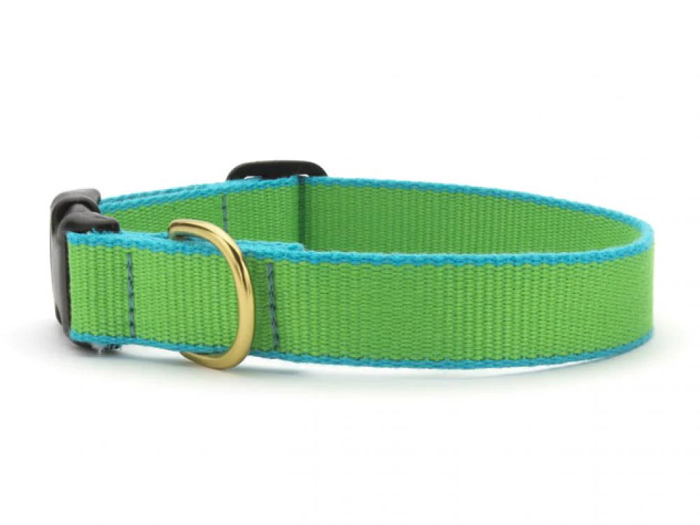 Up Country Color Market - Wide Cast Brass Dog Collar - Image 8
