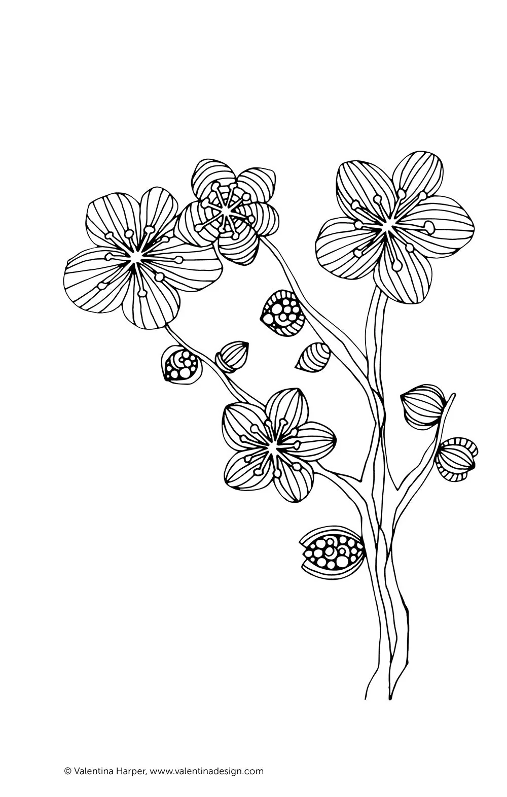 Color Zen Coloring Book - Image 6