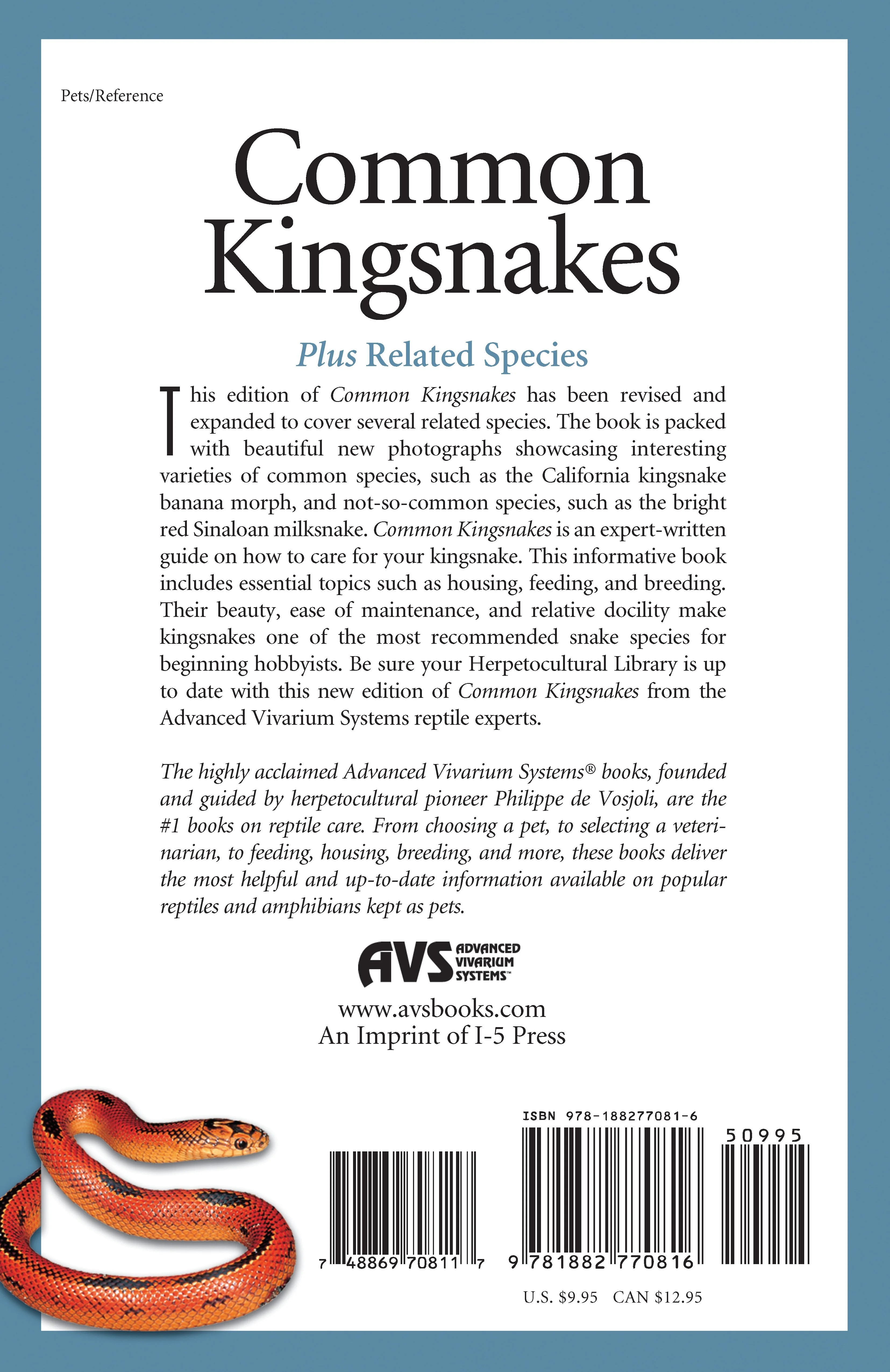 Common Kingsnakes - Image 2