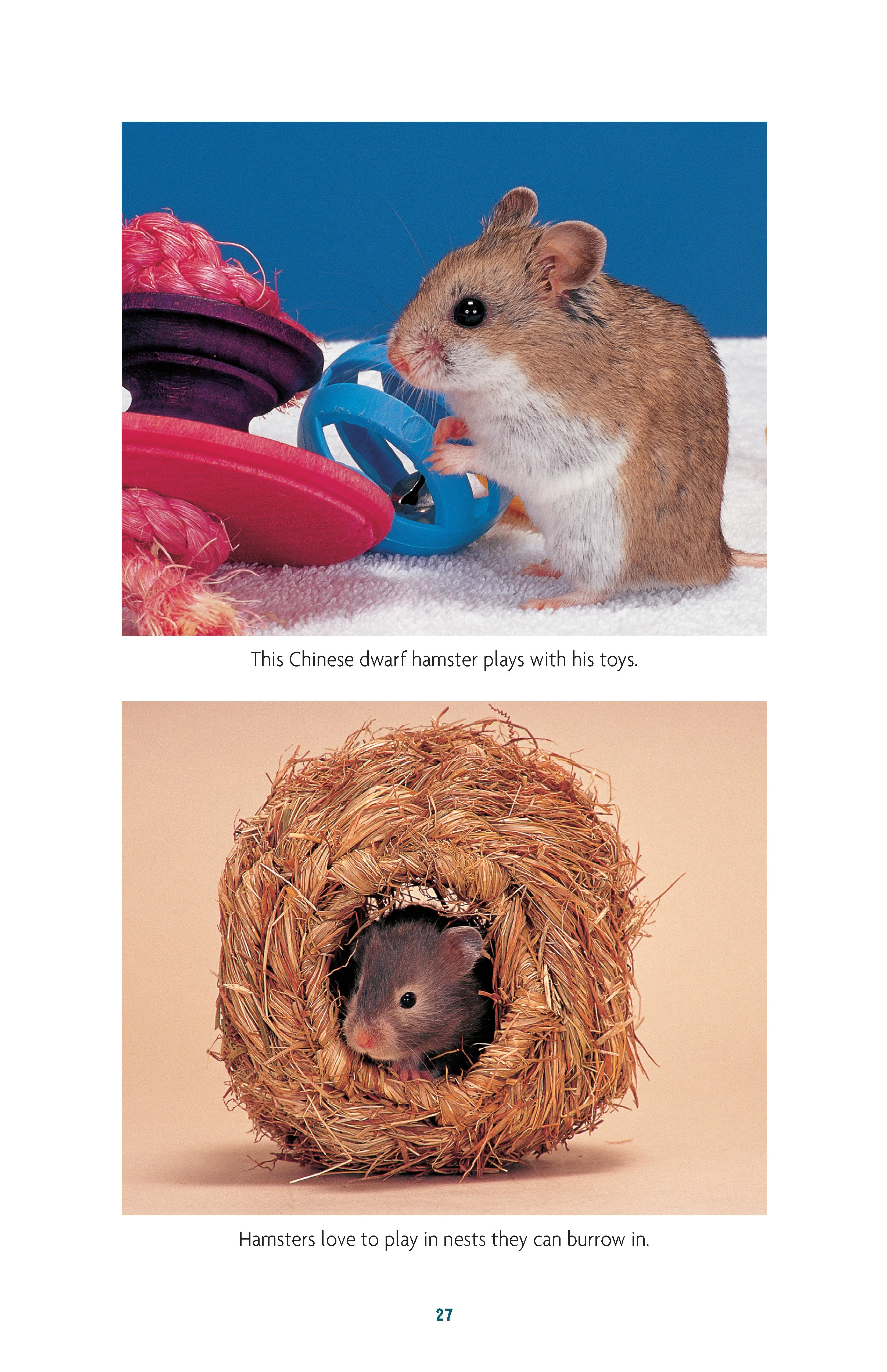 Complete Care Made Easy, Hamsters - Image 6
