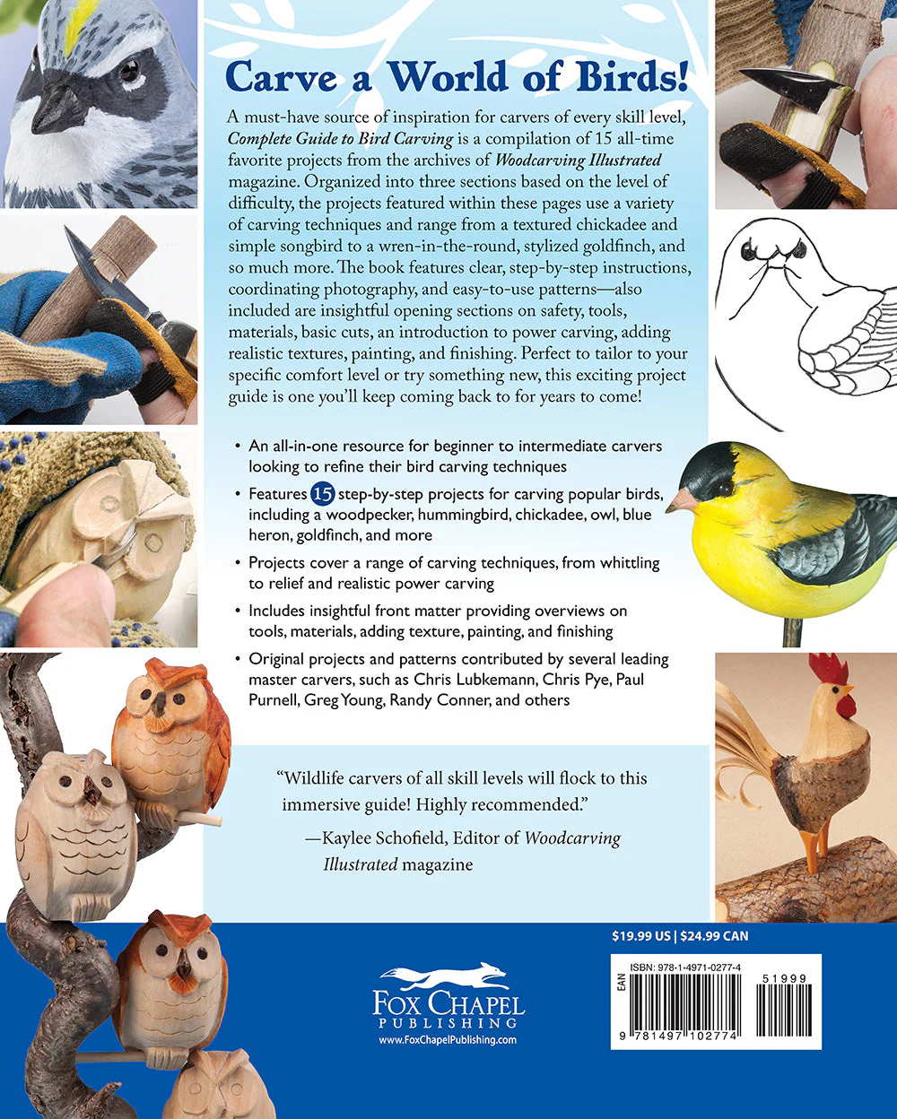 Complete Guide to Bird Carving - Image 8