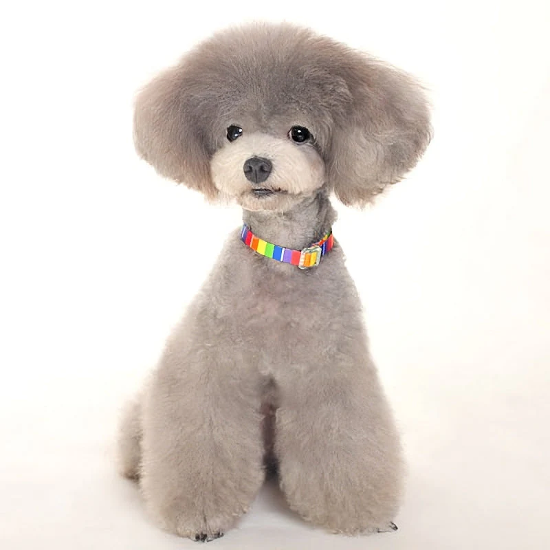 Contempo Collar - Image 15