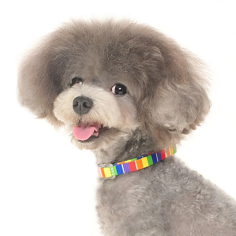 Contempo Collar - Image 16