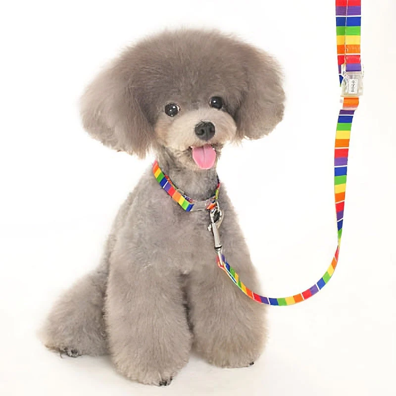 Contempo Collar - Image 18