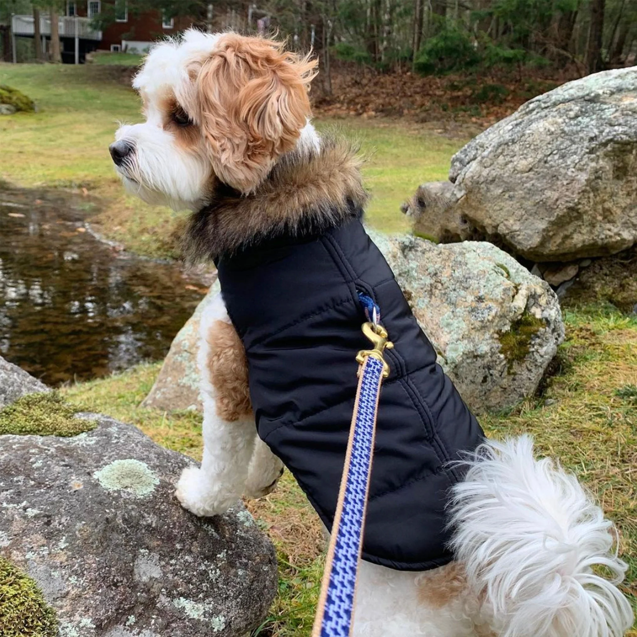 Up Country Black Aspen Puffer Coat Pet Accessory - Image 2