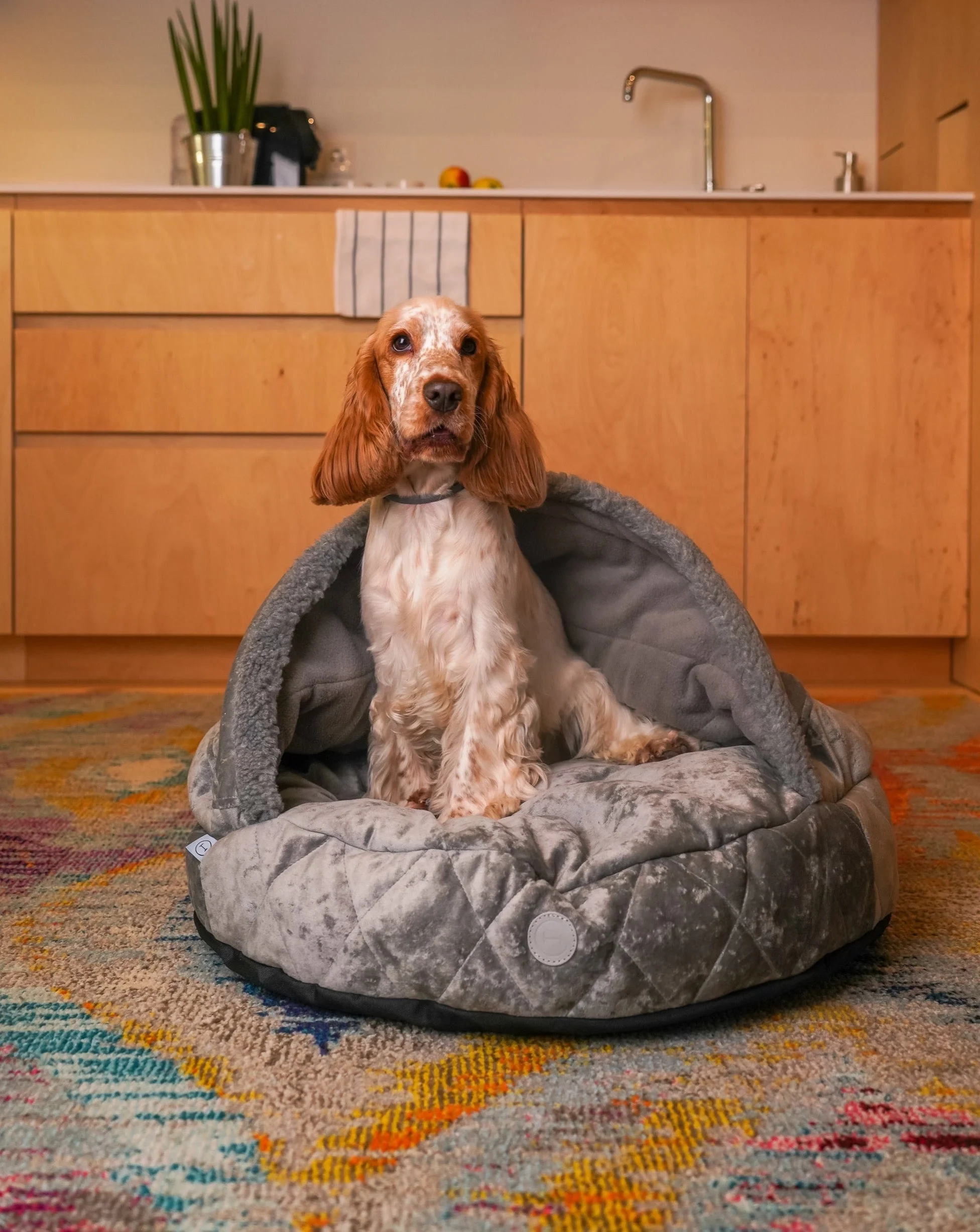 Cover Dog Bed - Image 15