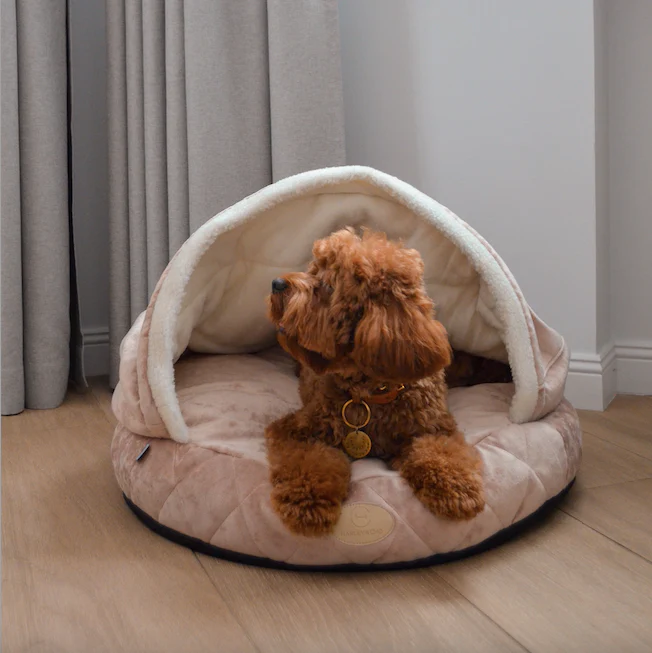 Cover Dog Bed - Image 17