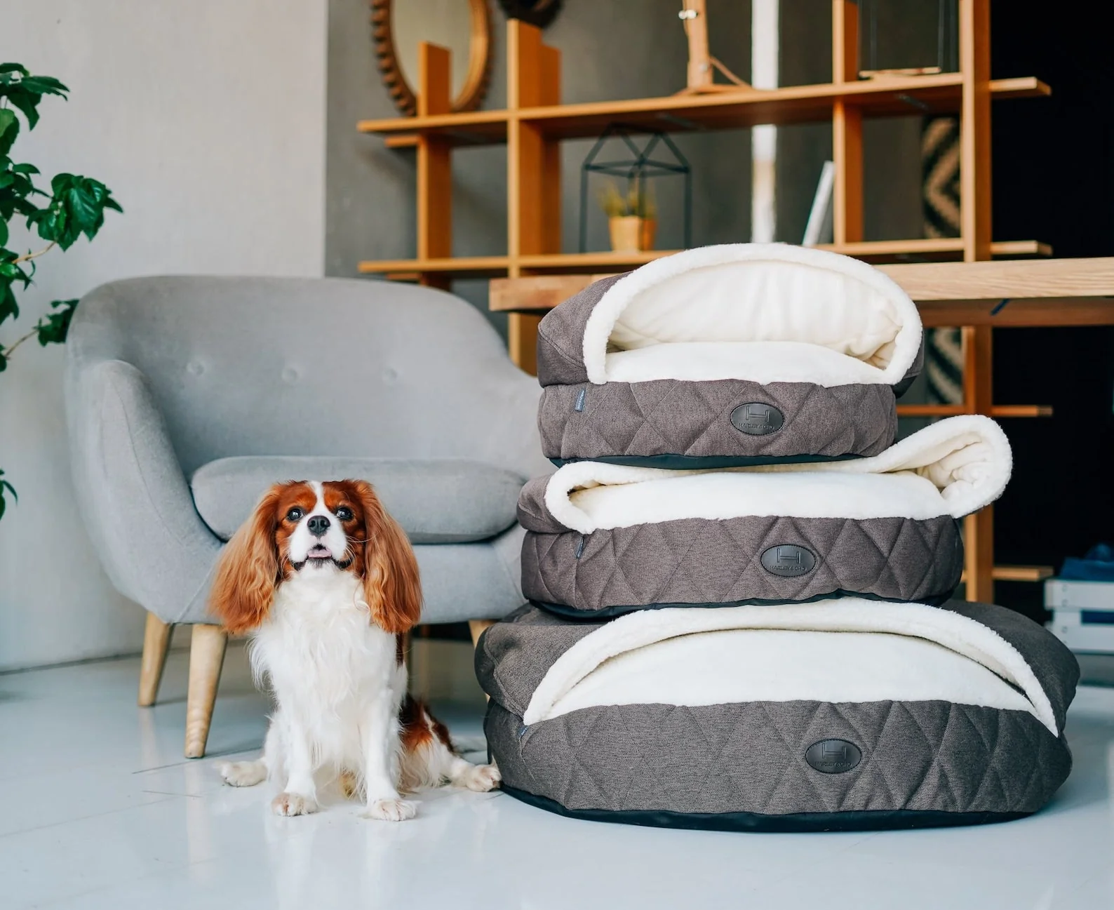 Cover Dog Bed - Image 5