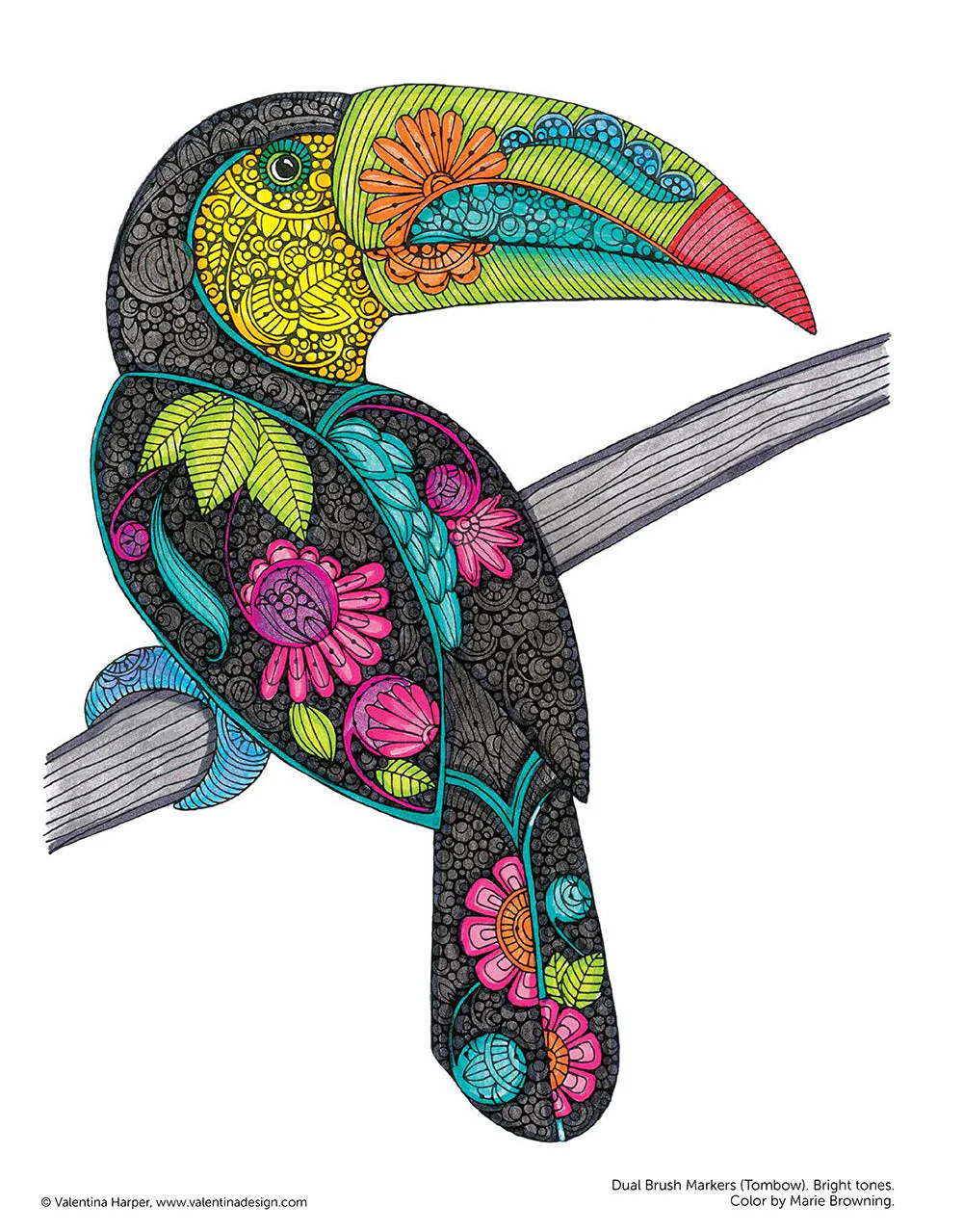 Creative Coloring Birds - Image 2