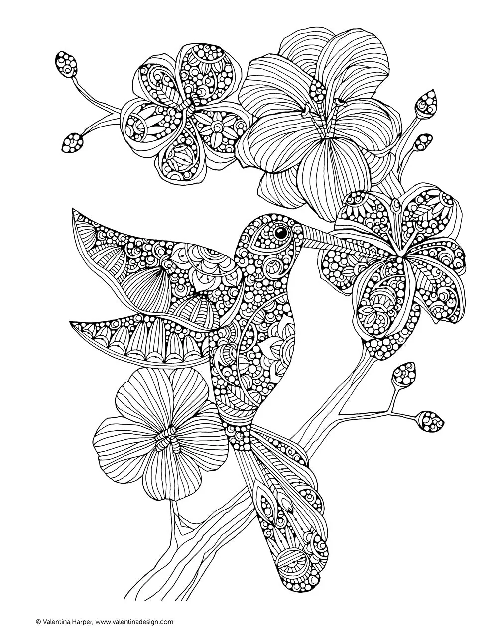 Creative Coloring Birds - Image 3