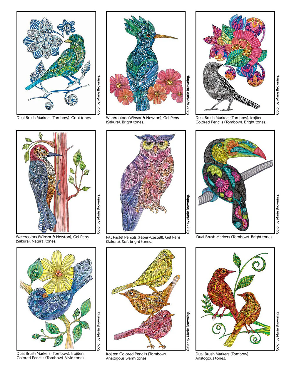 Creative Coloring Birds - Image 4