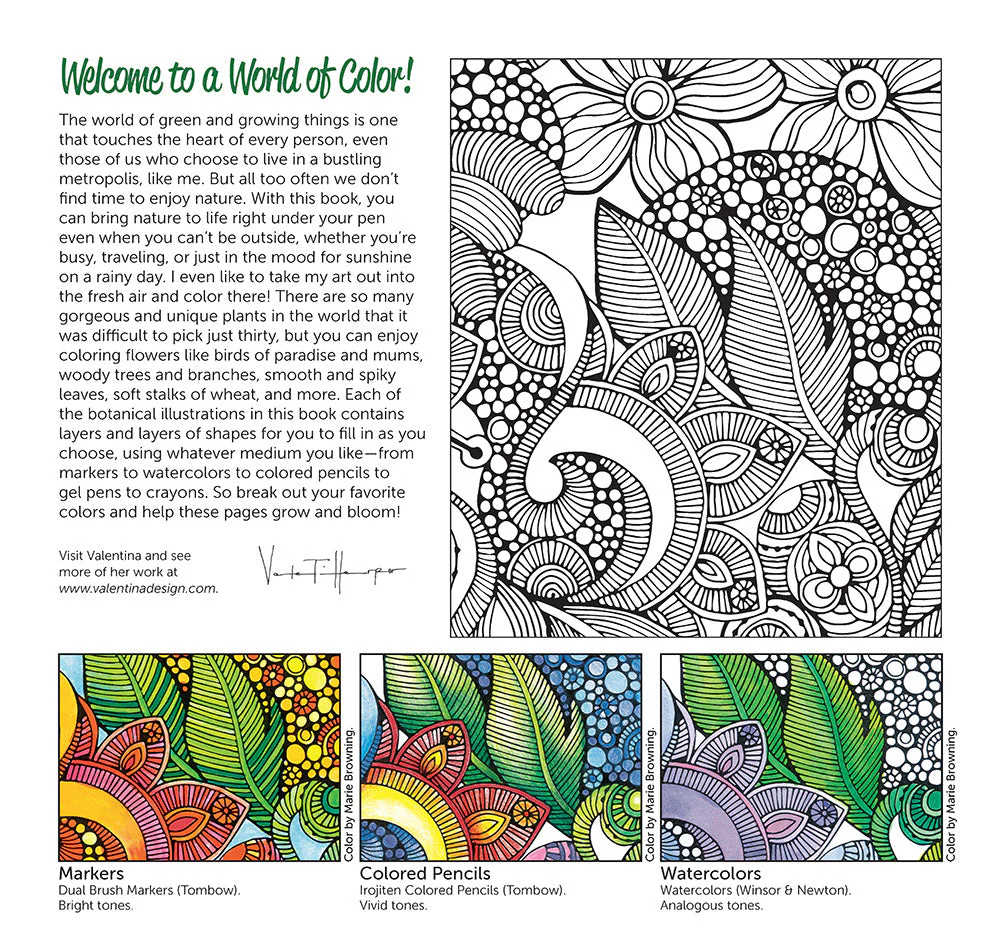Creative Coloring Botanicals - Image 7